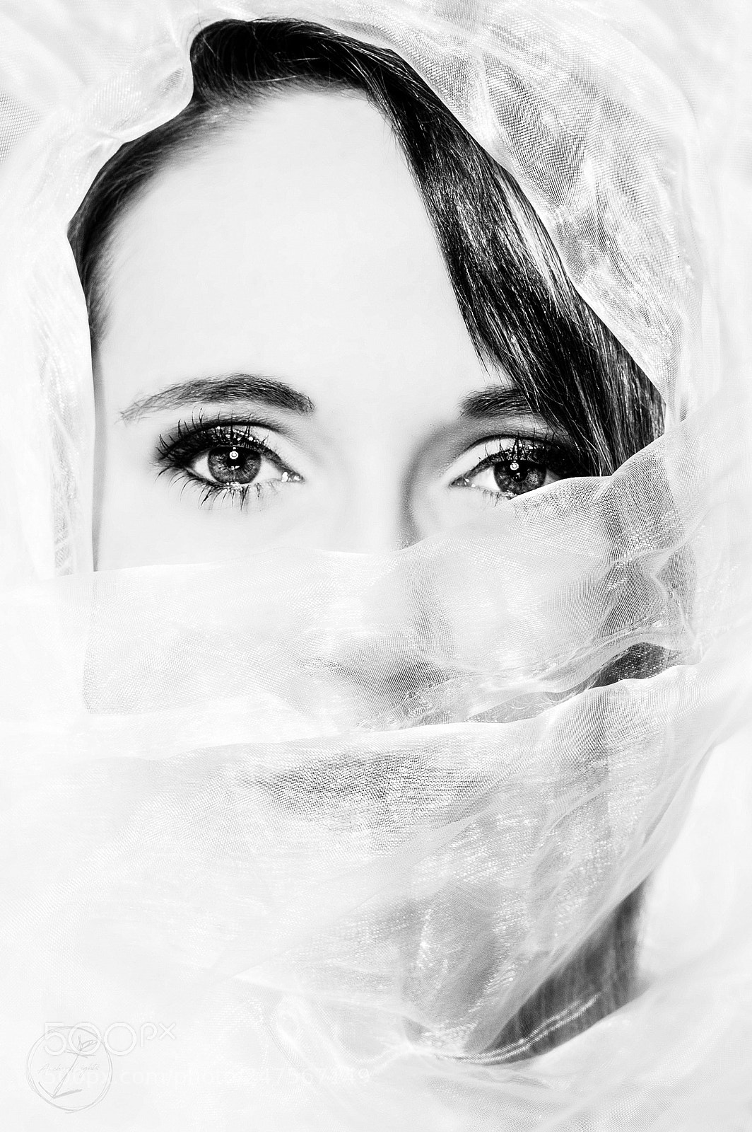 Nikon D700 sample photo. | silence| photography
