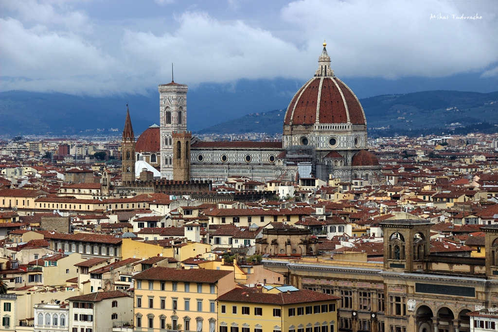 Sigma 18-250mm F3.5-6.3 DC OS HSM sample photo. A piece of florence photography