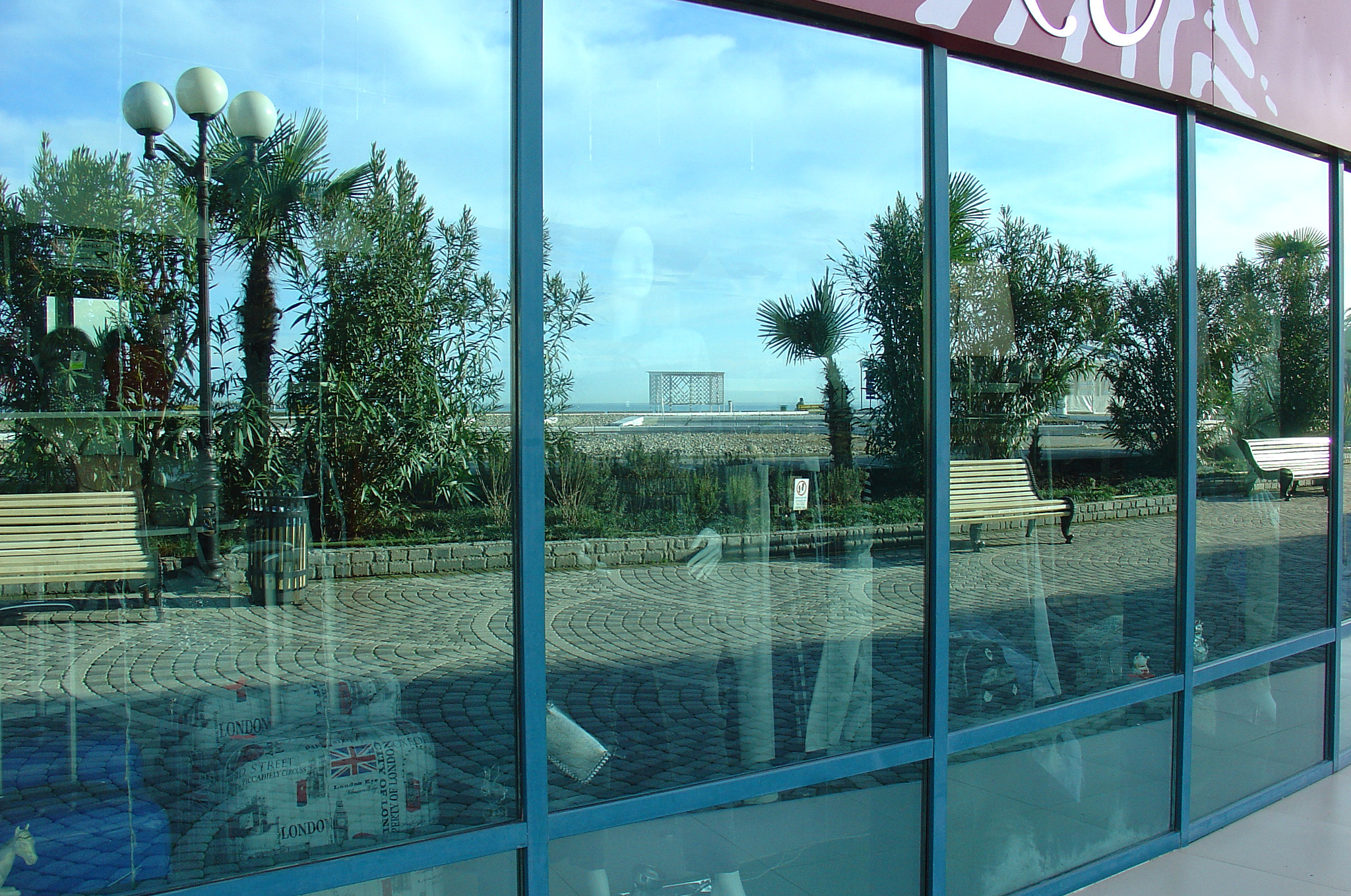 Sony DSC-V1 sample photo. Reflection photography