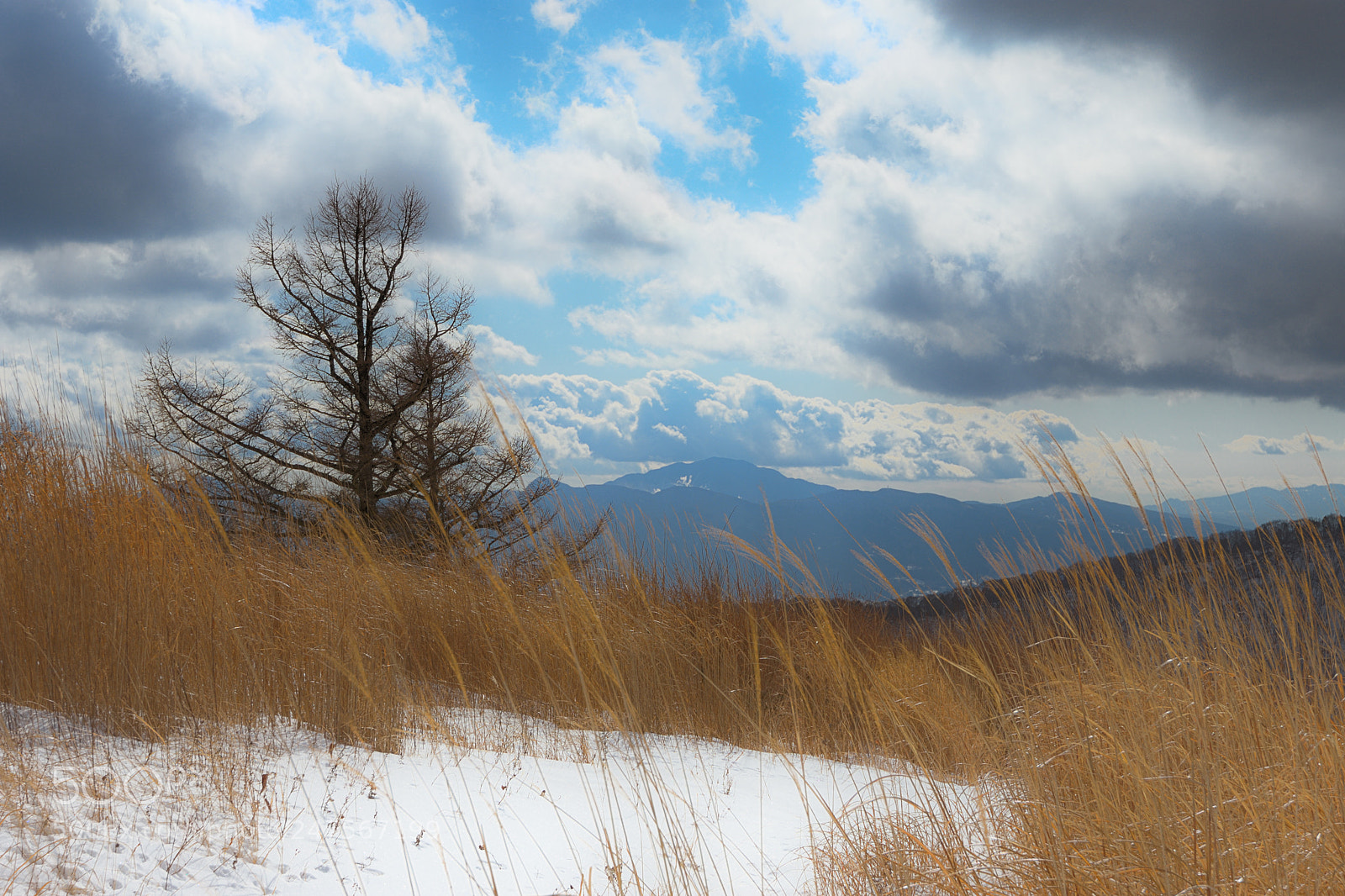 Nikon D7200 sample photo. Cloudy sky photography