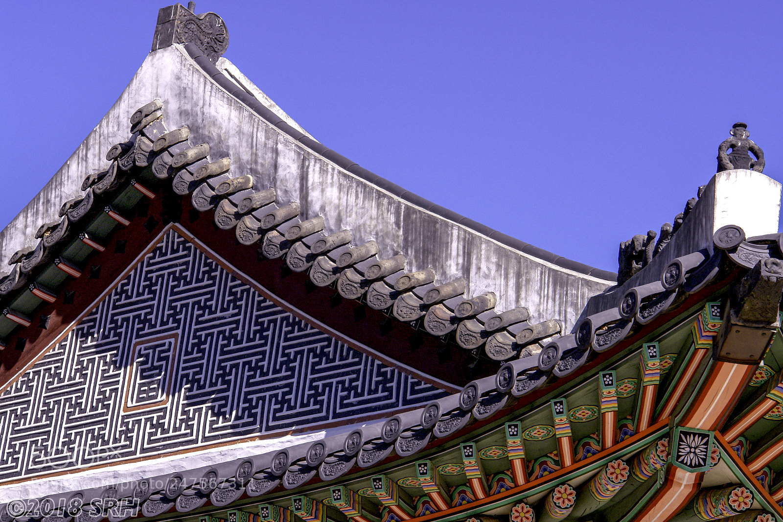 Sony DSC-R1 sample photo. Pagoda detail photography