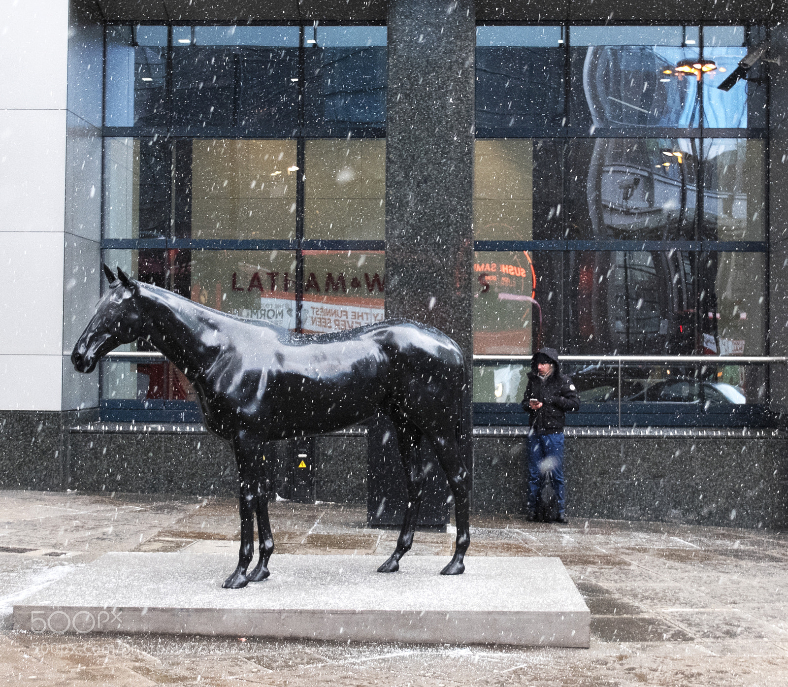 Fujifilm X30 sample photo. Tame horse photography