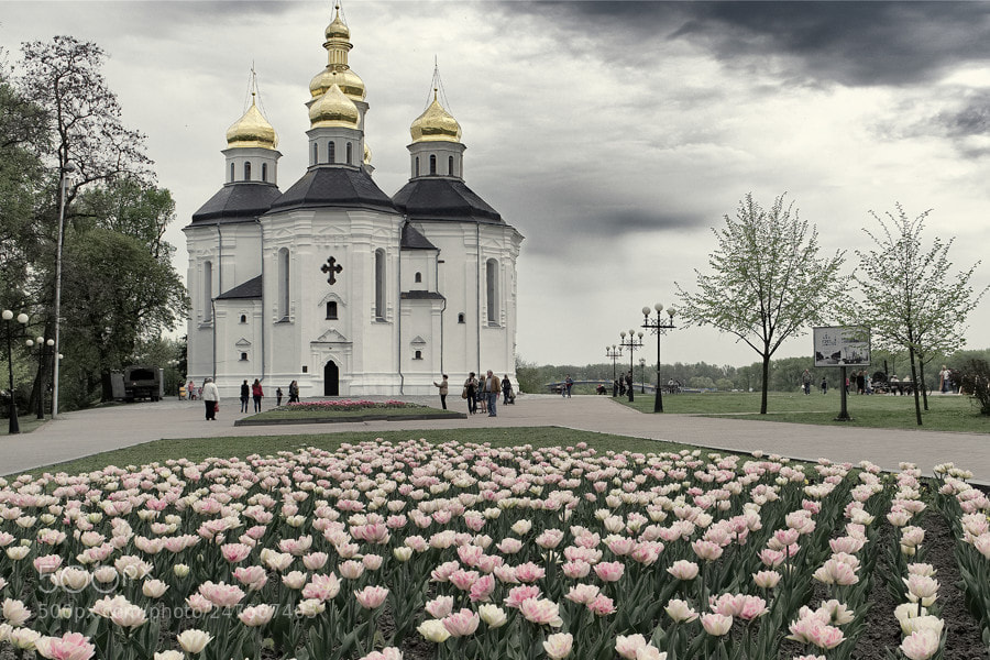 Fujifilm X-E1 sample photo. St. catherine church. photography