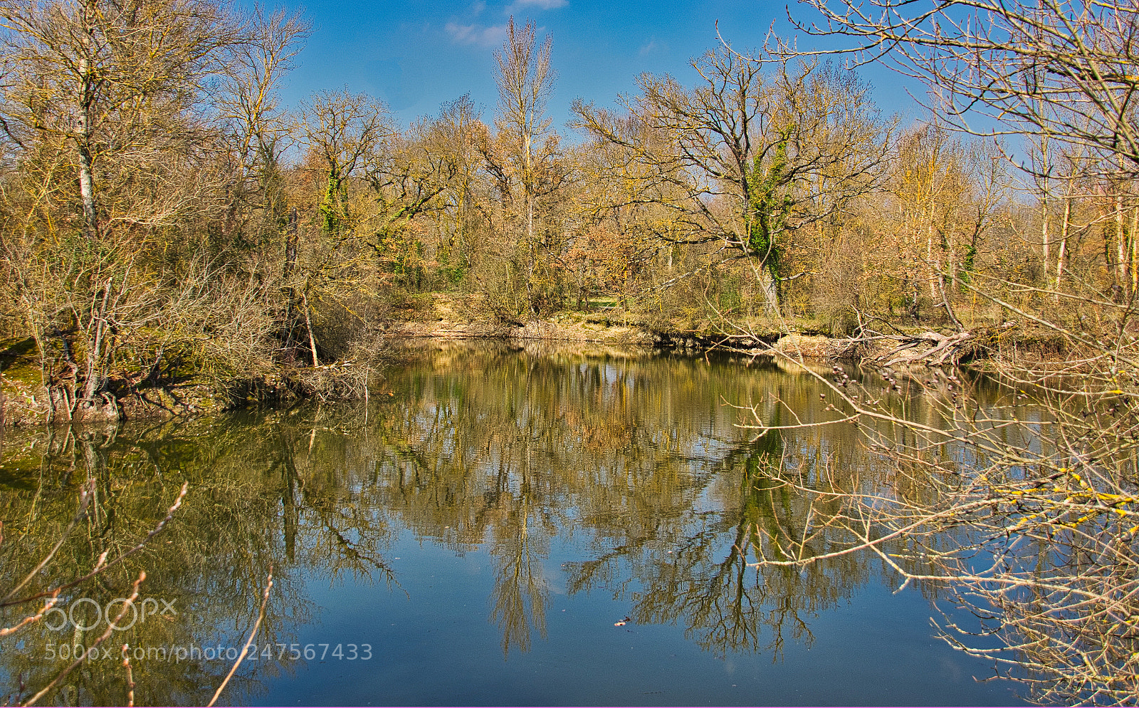 Nikon D3400 sample photo. Treees in winter reflecting photography