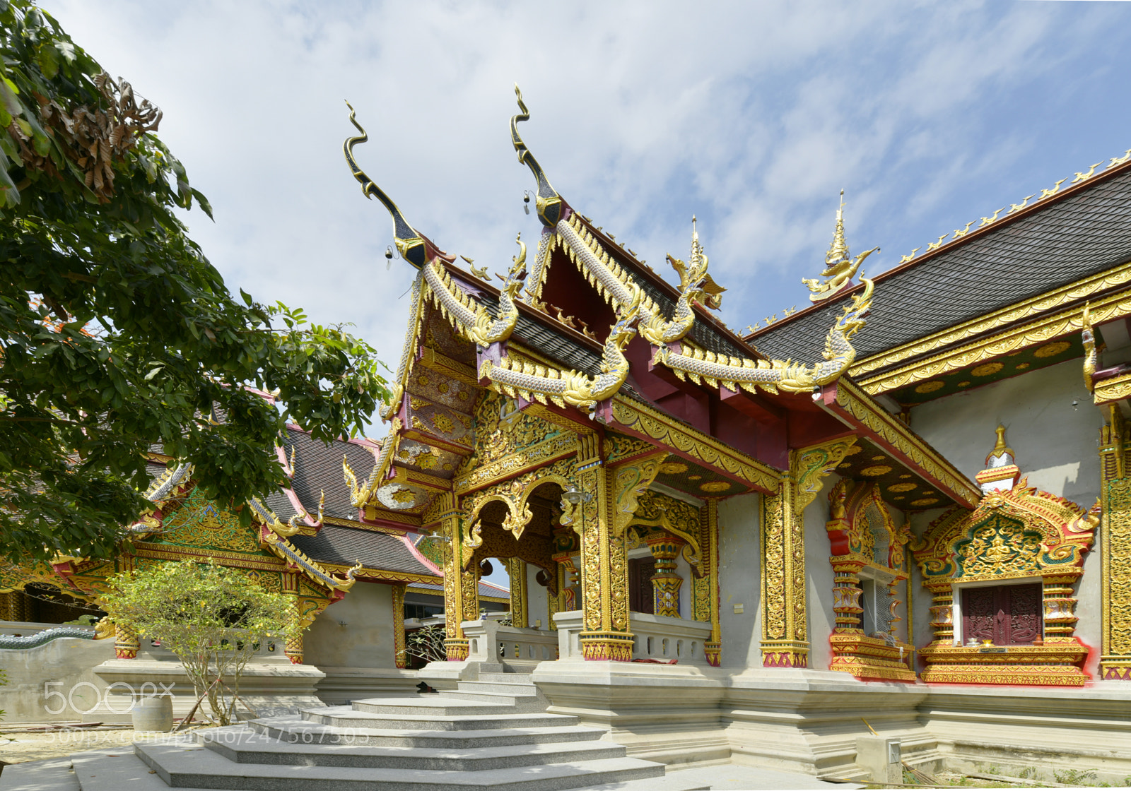 Nikon D850 sample photo. Temple en construction (bis) photography