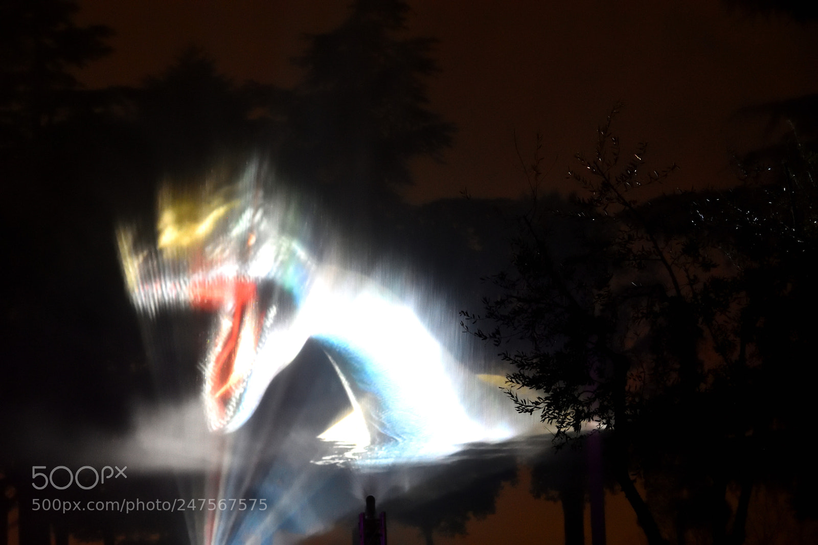 Nikon D3400 sample photo. T rex on the photography