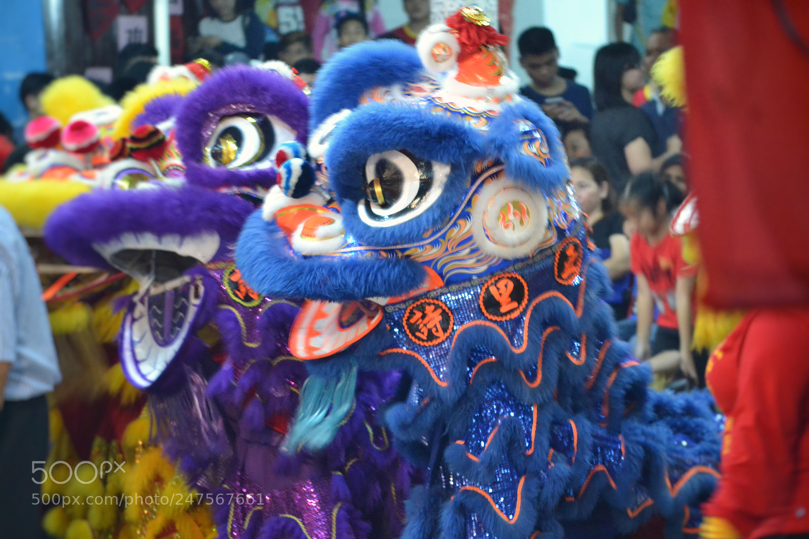 Nikon D3100 sample photo. Chinesenewyear2018 photography