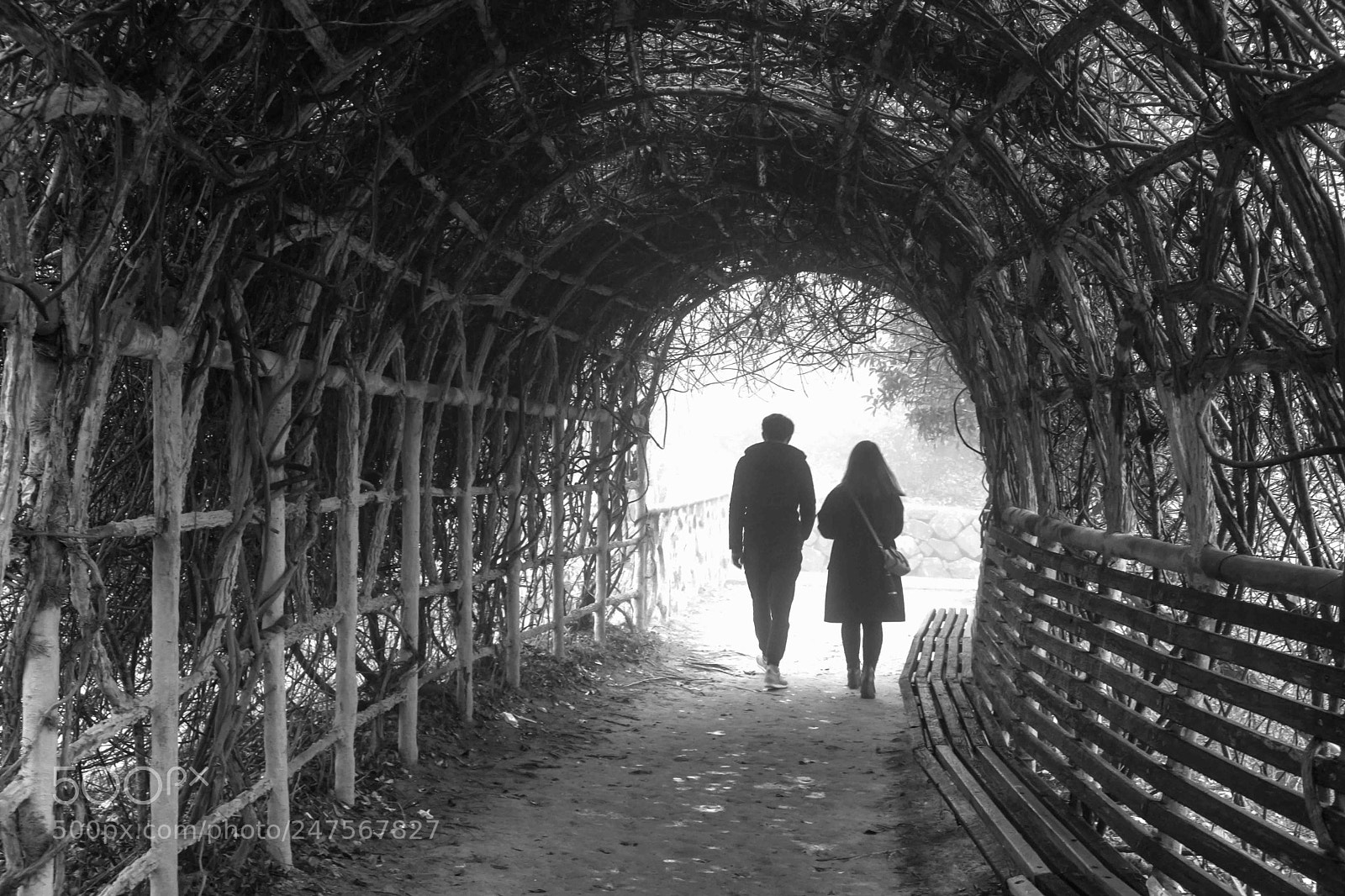 Fujifilm X-T20 sample photo. Lovers in heavy fog photography