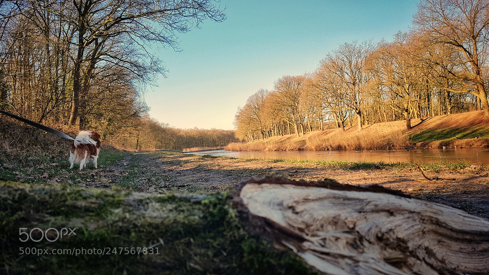 Samsung Galaxy S7 sample photo. Morning walk photography
