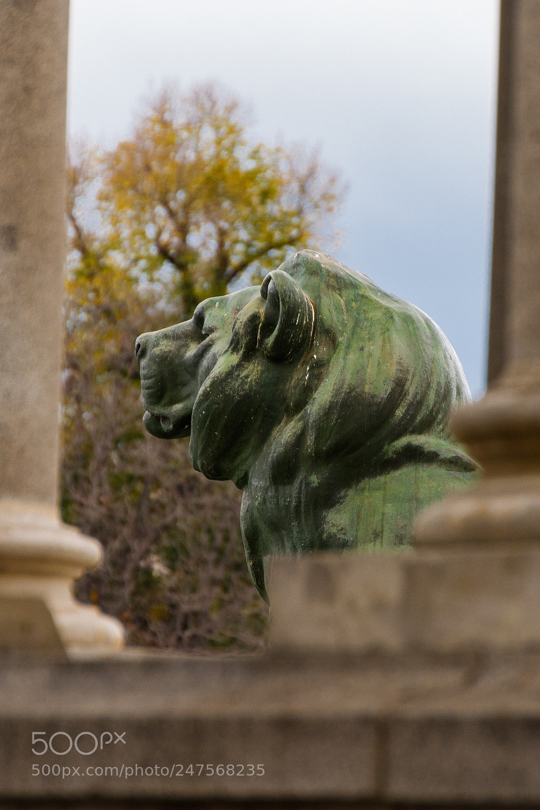 Canon EOS 1000D (EOS Digital Rebel XS / EOS Kiss F) sample photo. Madrid, el retiro photography
