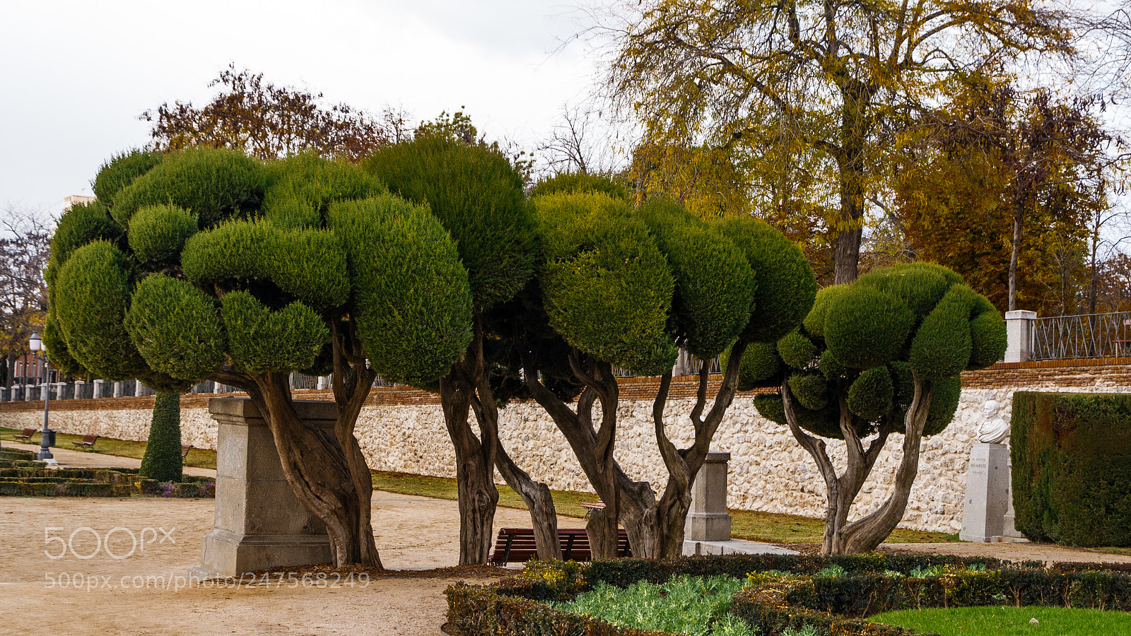 Canon EOS 1000D (EOS Digital Rebel XS / EOS Kiss F) sample photo. Madrid, el retiro photography