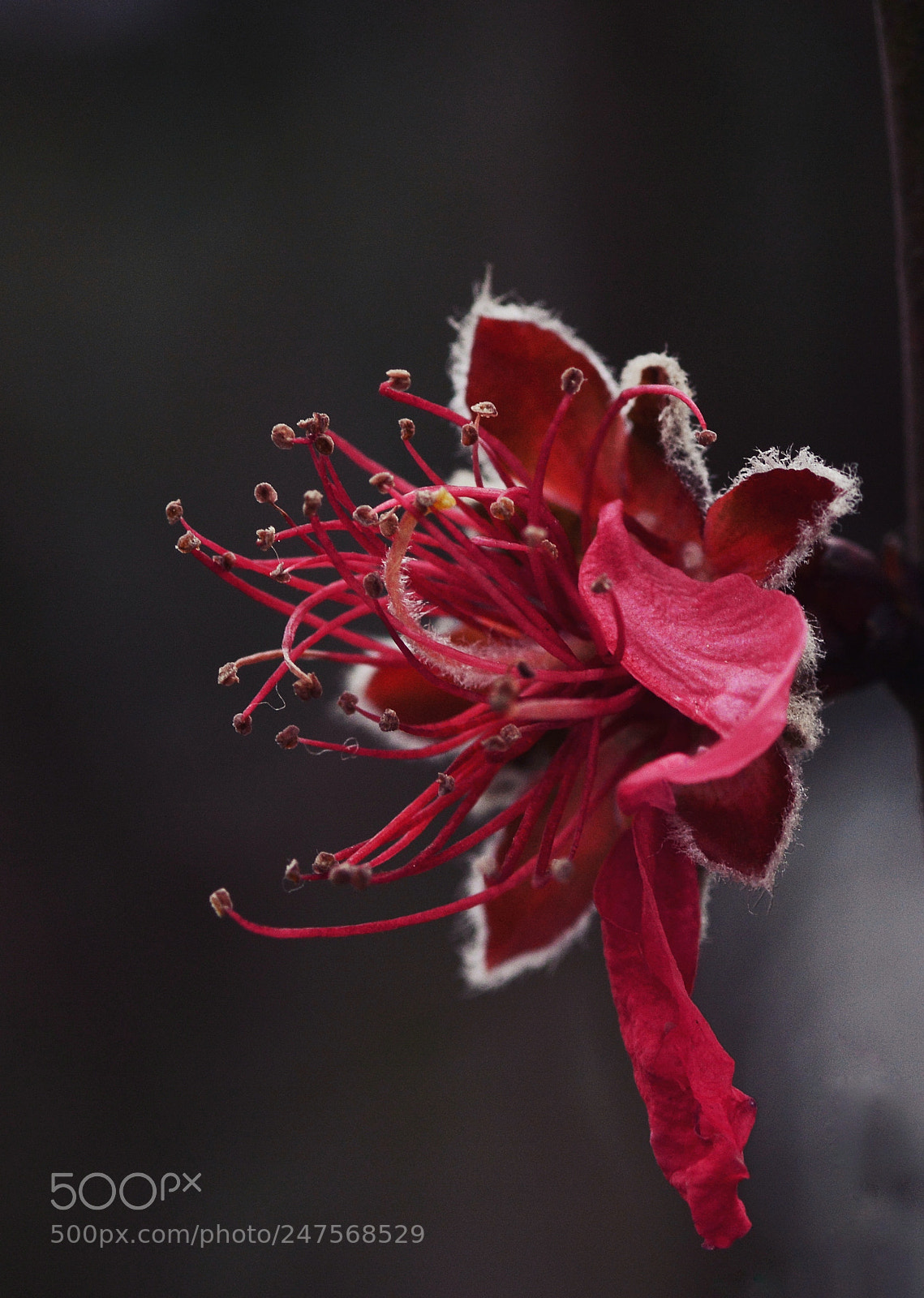 Nikon D7100 sample photo. Untitled photography