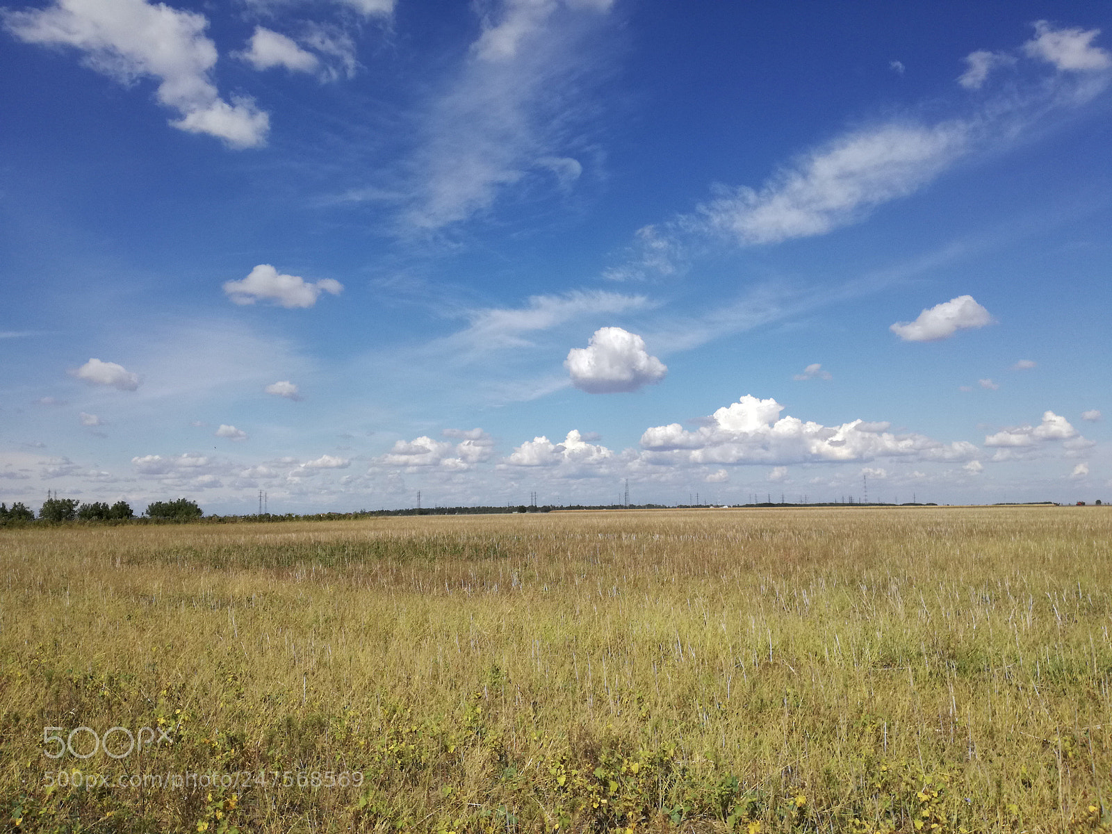 HUAWEI P9 LITE sample photo. 6# photography