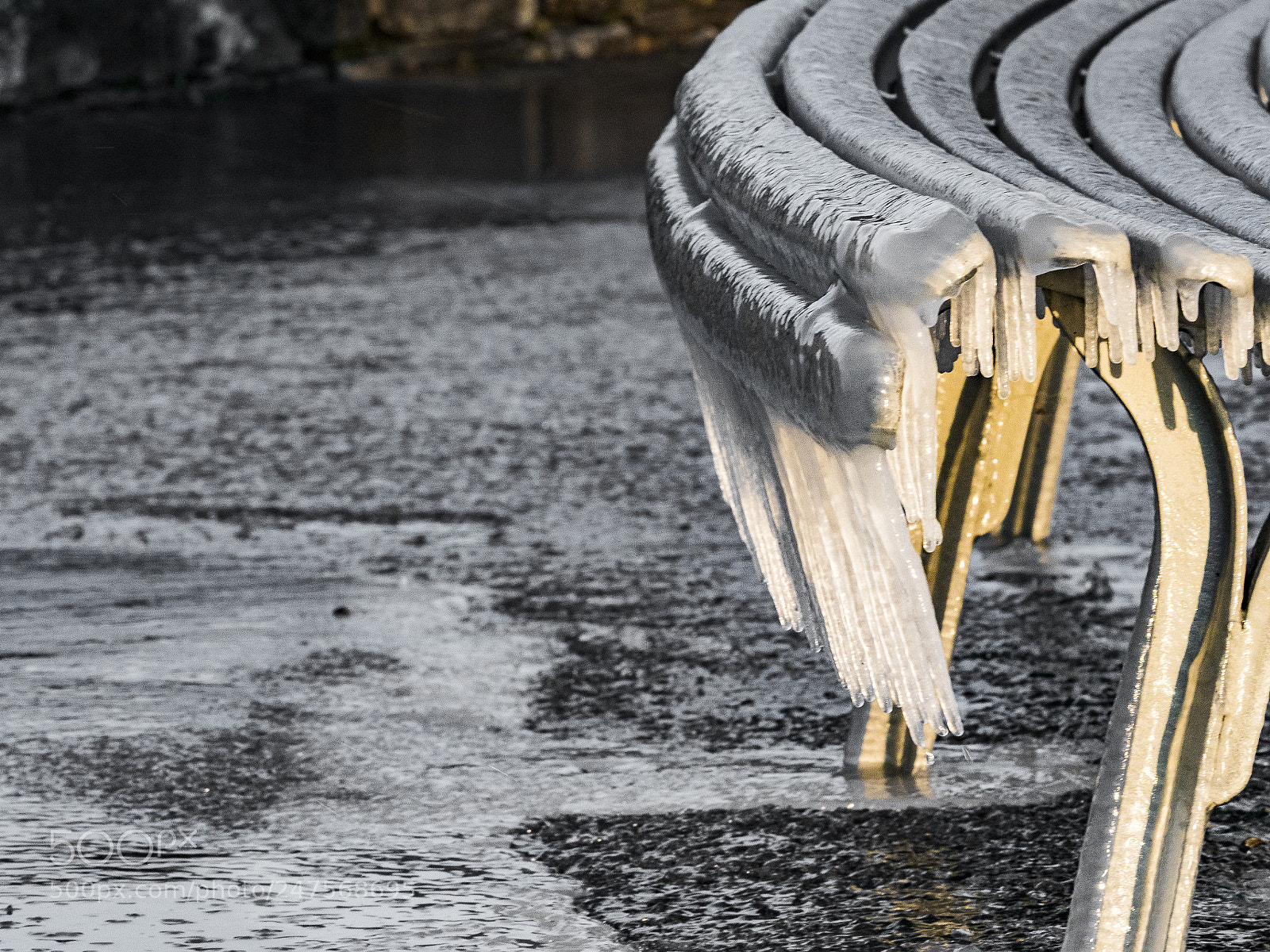 Olympus OM-D E-M1 Mark II sample photo. Sitting on a frozen photography