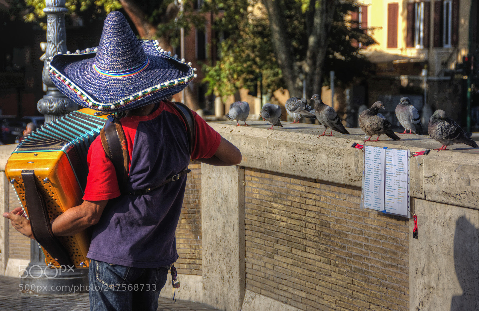 Nikon D7100 sample photo. Roma : non-paying public ... photography