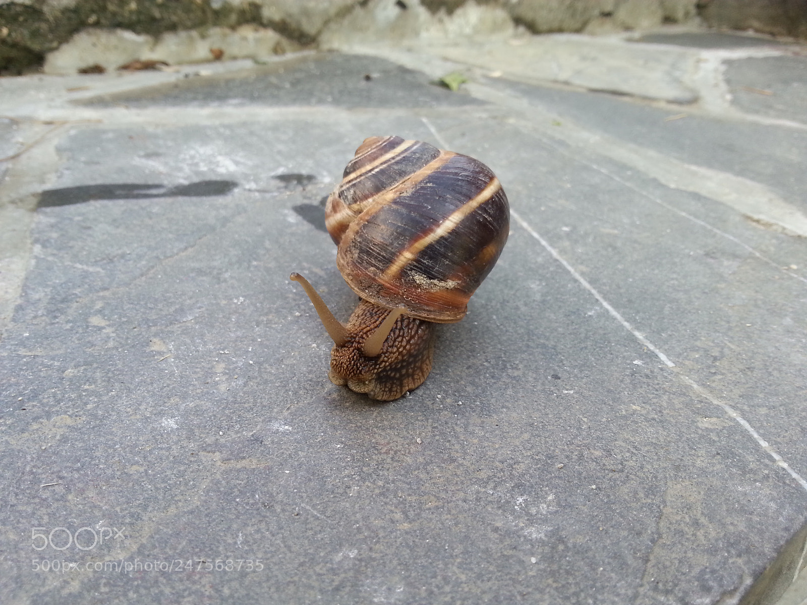 Samsung Galaxy S3 sample photo. 8# photography
