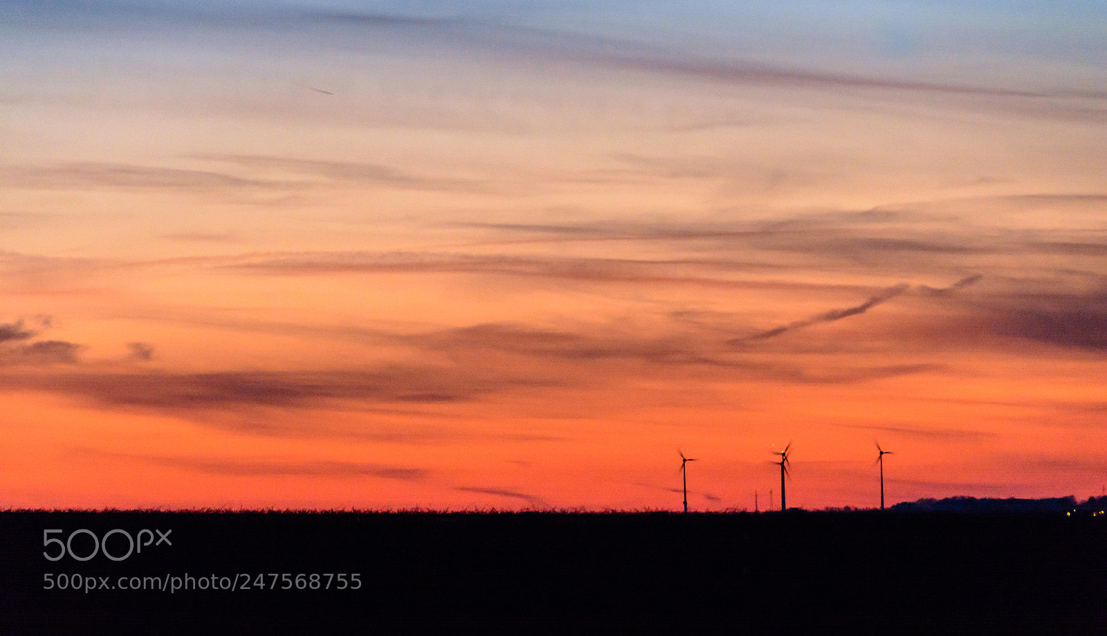 Nikon D7100 sample photo. Sonnenuntergang weinberge photography