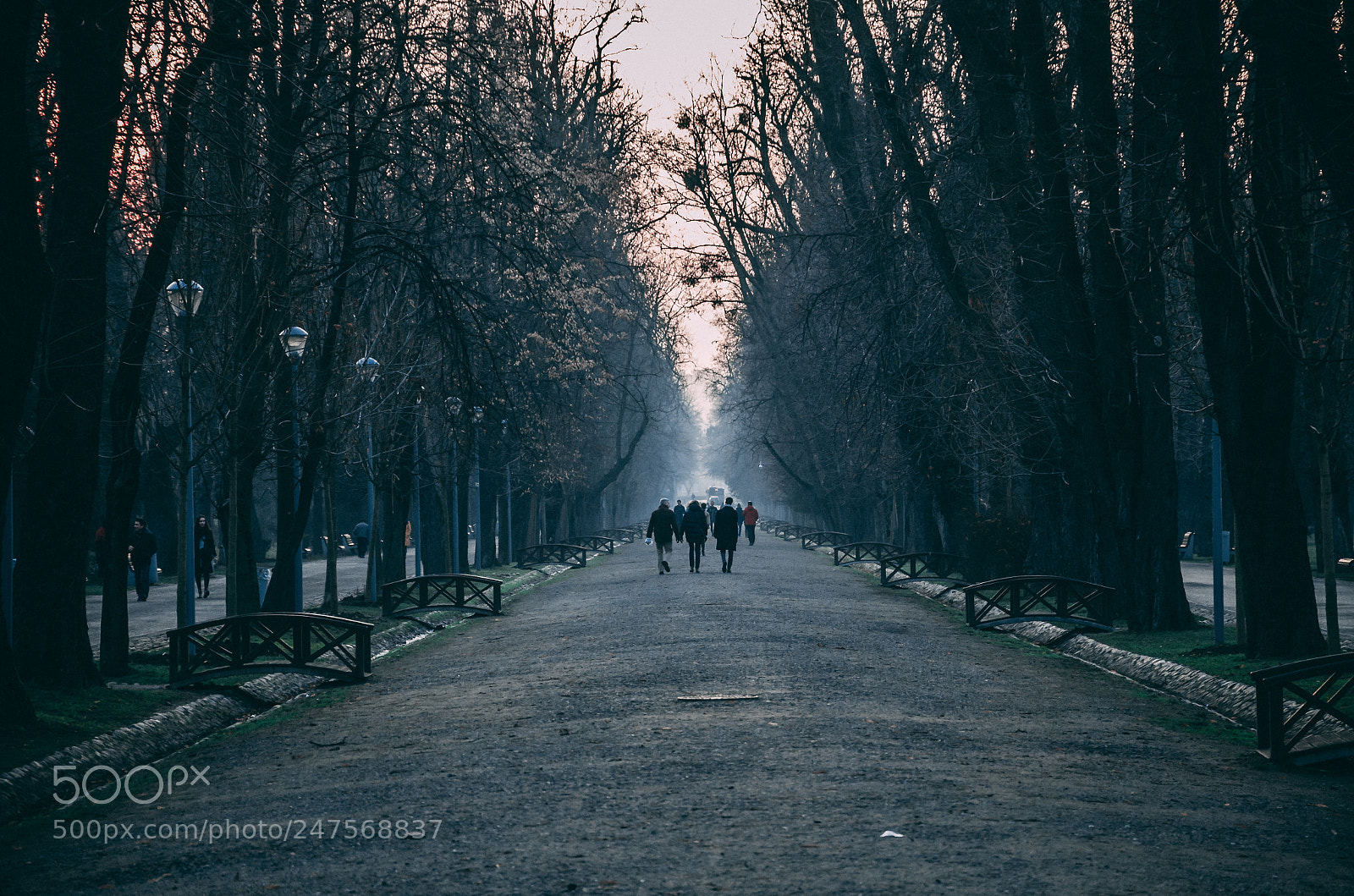Nikon D5100 sample photo. Winter photography