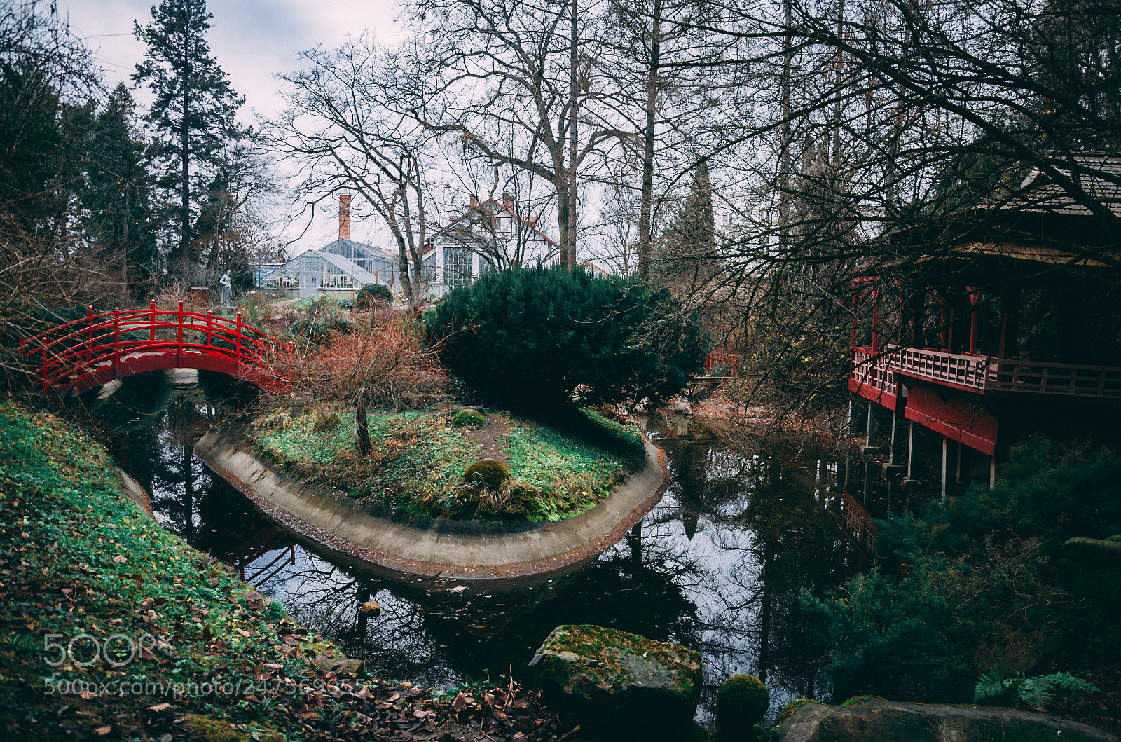 Nikon D5100 sample photo. Botanica garden photography