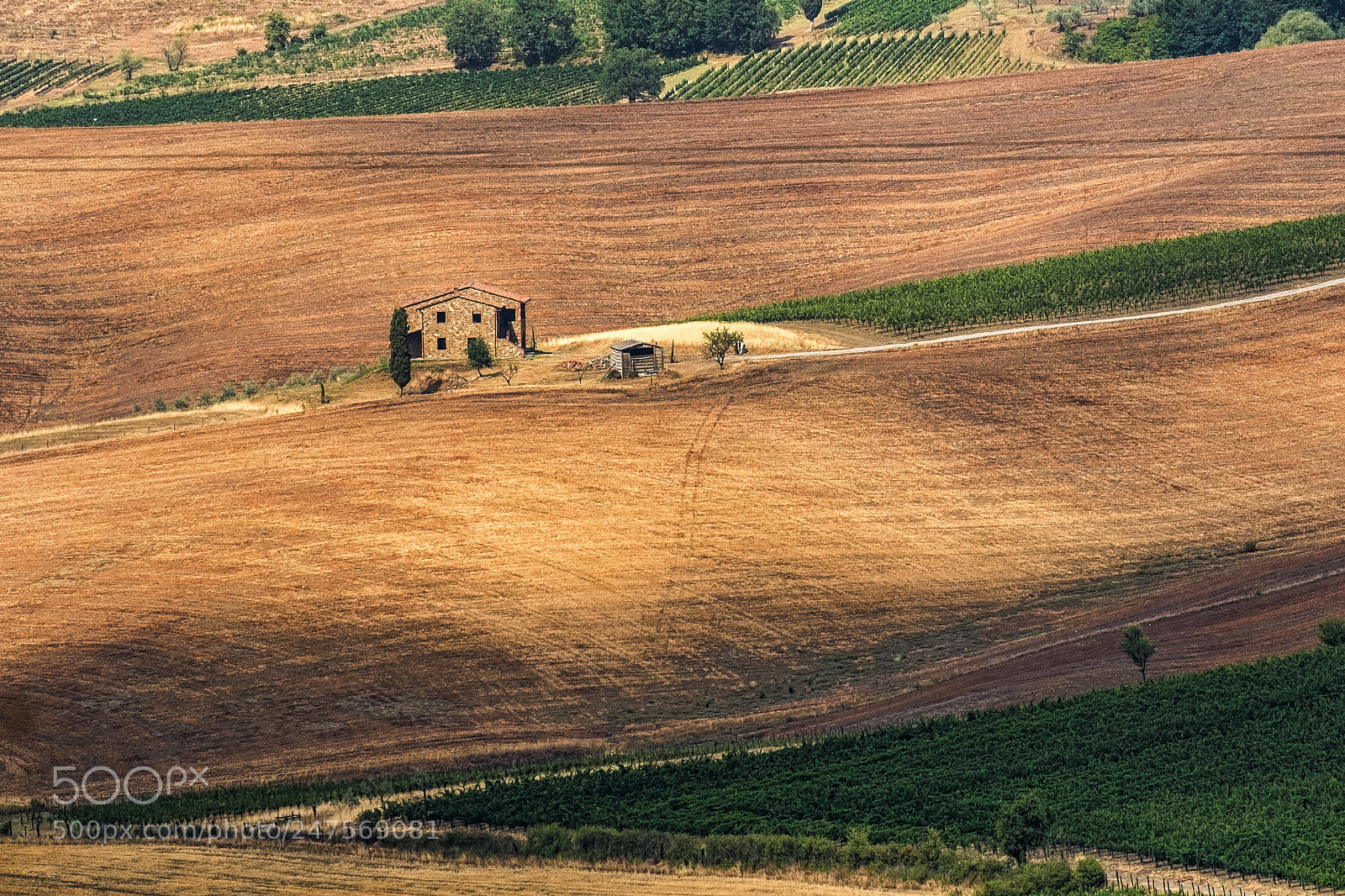 Fujifilm X-T20 sample photo. Summer landscape near montepulciano photography