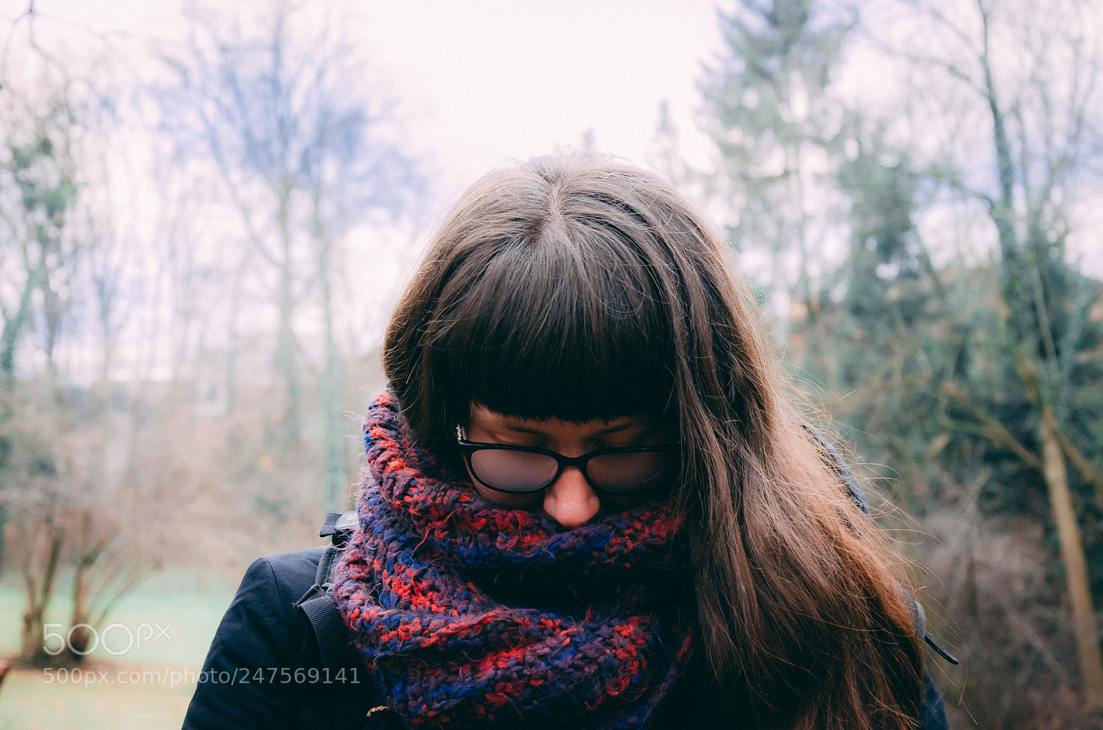 Nikon D5100 sample photo. Too cold photography