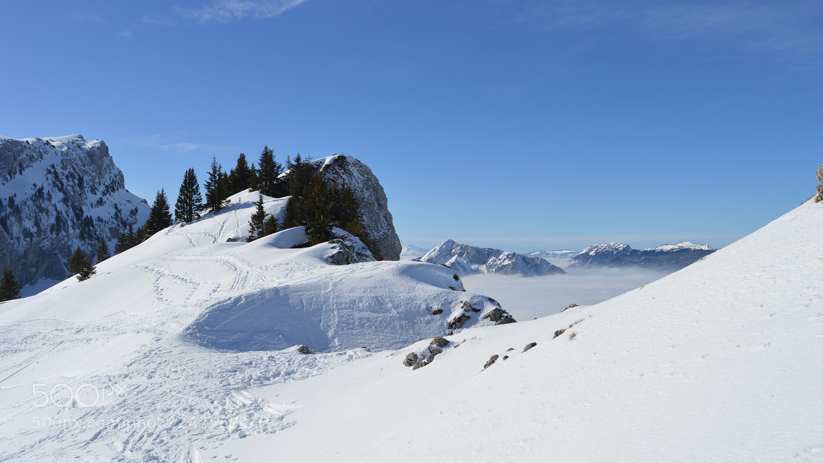 Nikon D3200 sample photo. 30.jpg photography