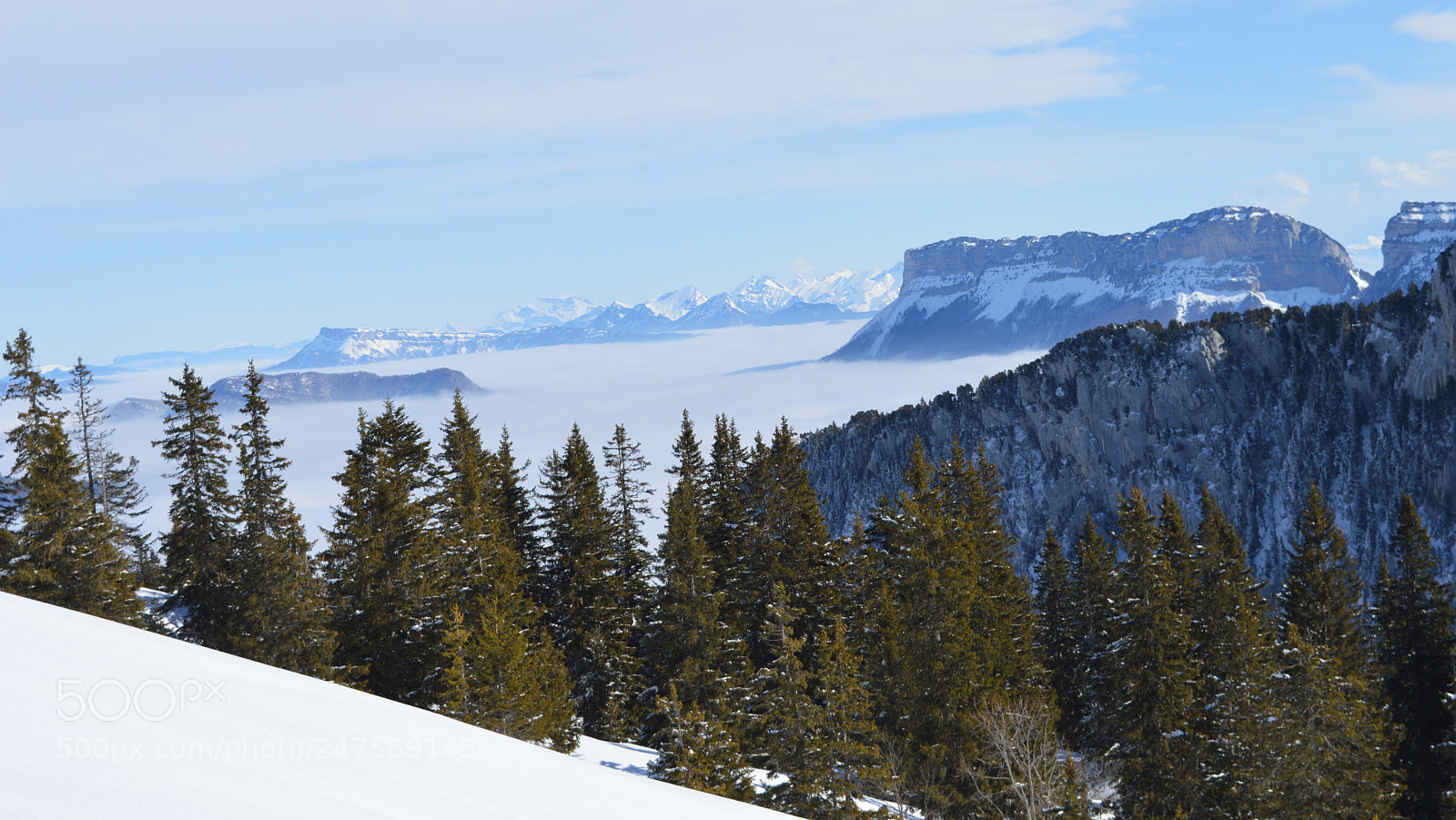 Nikon D3200 sample photo. 27.jpg photography