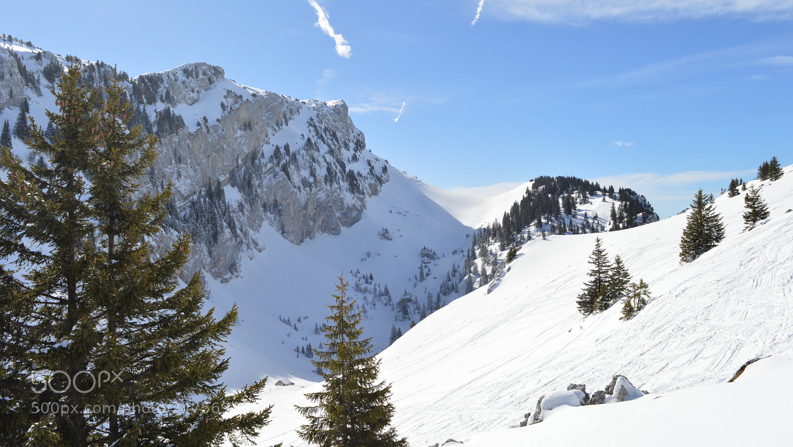 Nikon D3200 sample photo. 100.jpg photography
