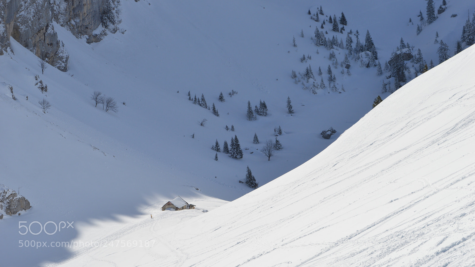 Nikon D3200 sample photo. 98.jpg photography