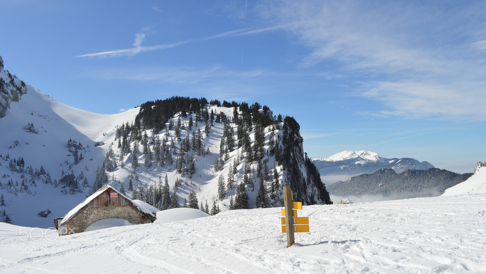 Nikon D3200 sample photo. 109.jpg photography