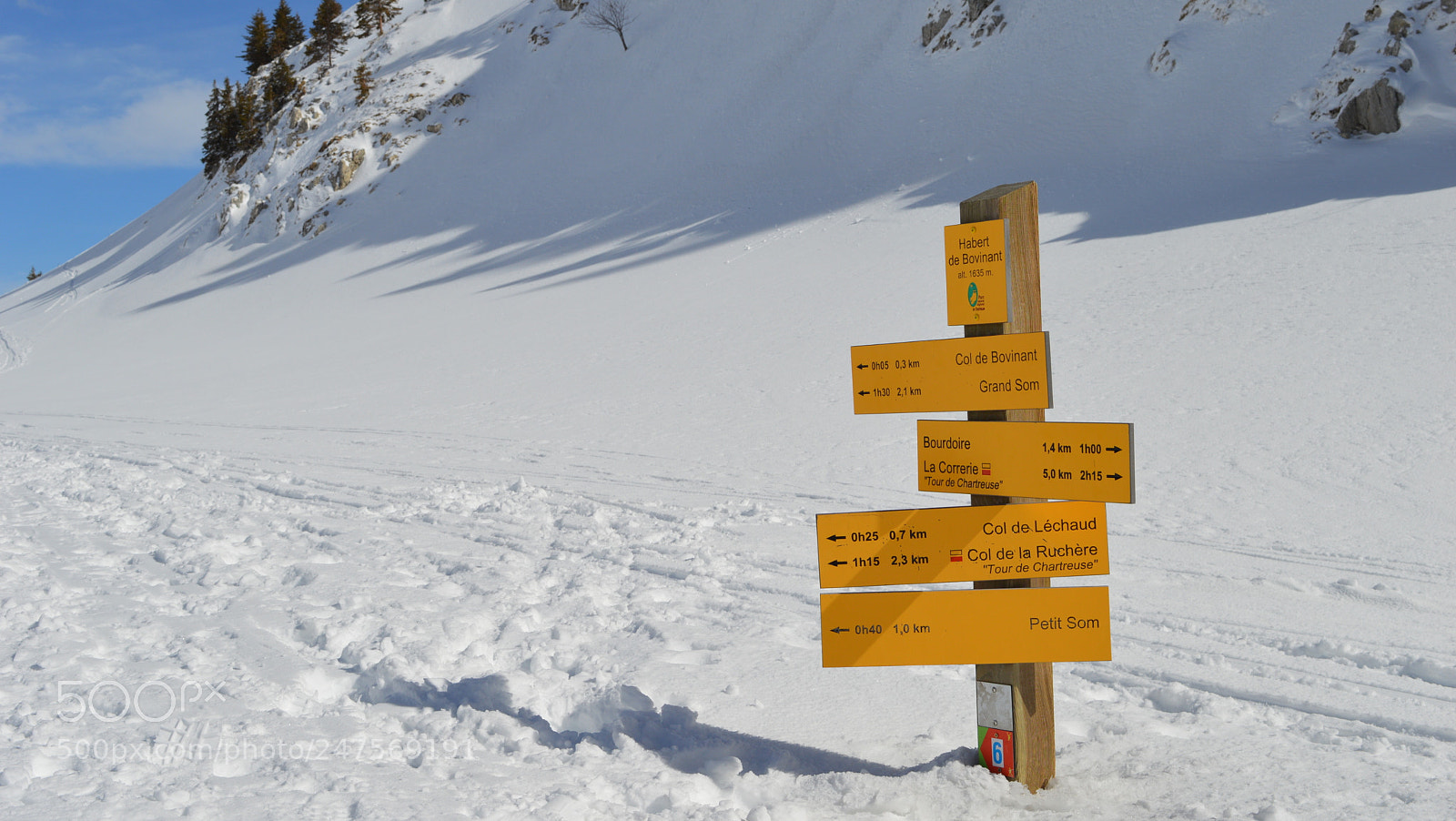 Nikon D3200 sample photo. 111.jpg photography