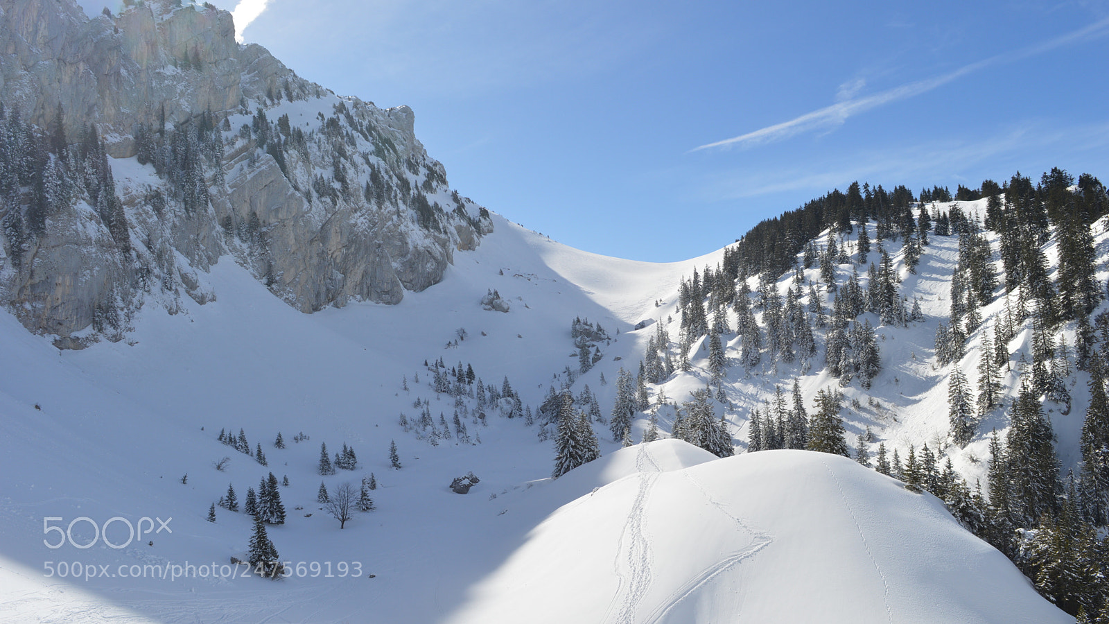 Nikon D3200 sample photo. 115.jpg photography