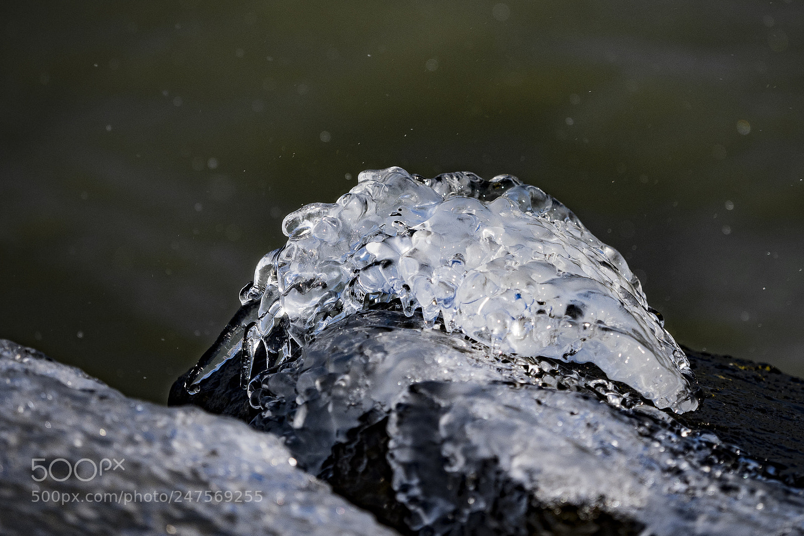 Olympus OM-D E-M1 Mark II sample photo. The ice whale photography