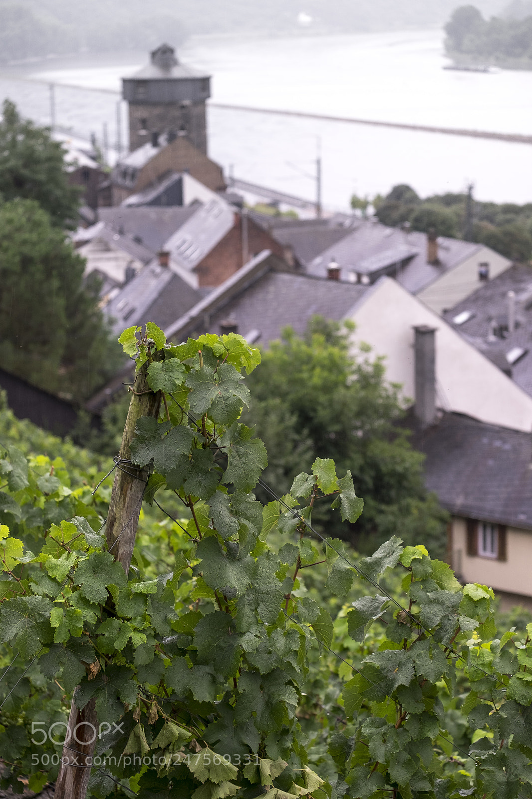 Fujifilm X-T10 sample photo. The village of kaub photography