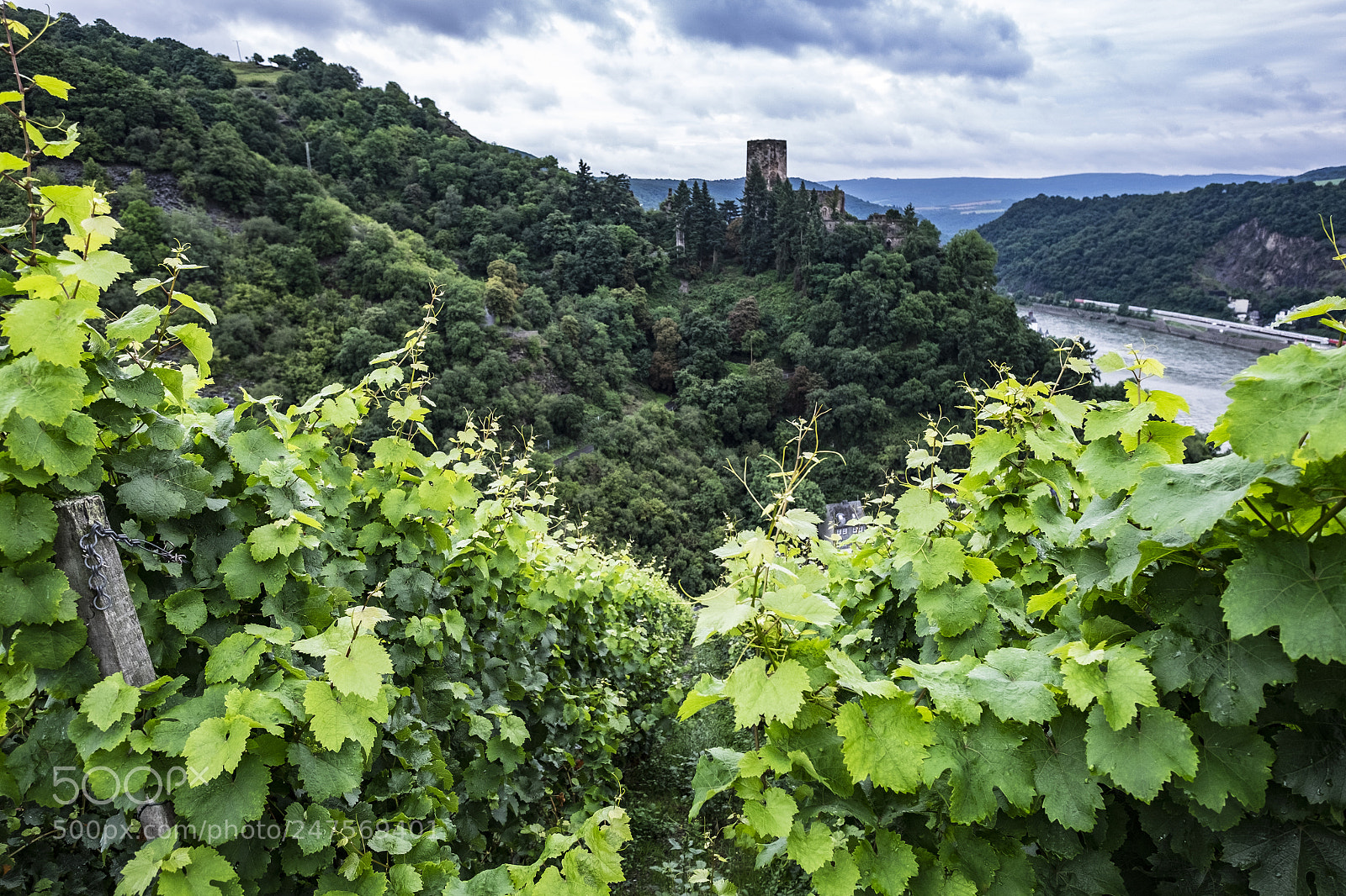 Fujifilm X-T10 sample photo. Gutenfels castle near kaub photography