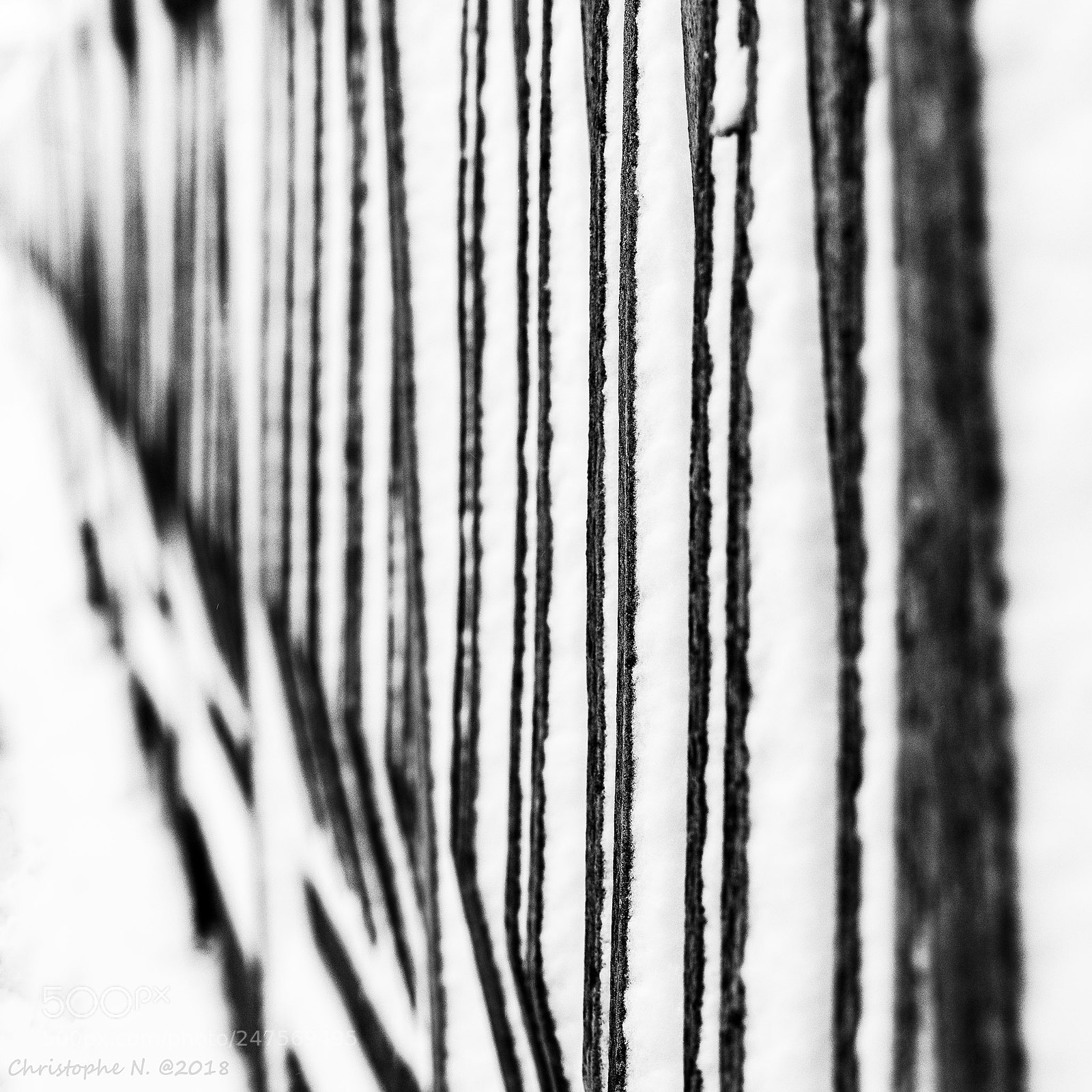 Nikon D810 sample photo. Barcode photography