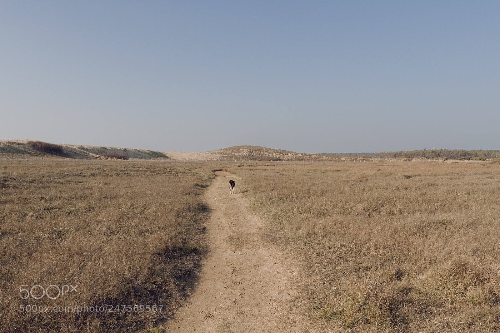 Canon EOS 7D sample photo. Straight ahead photography