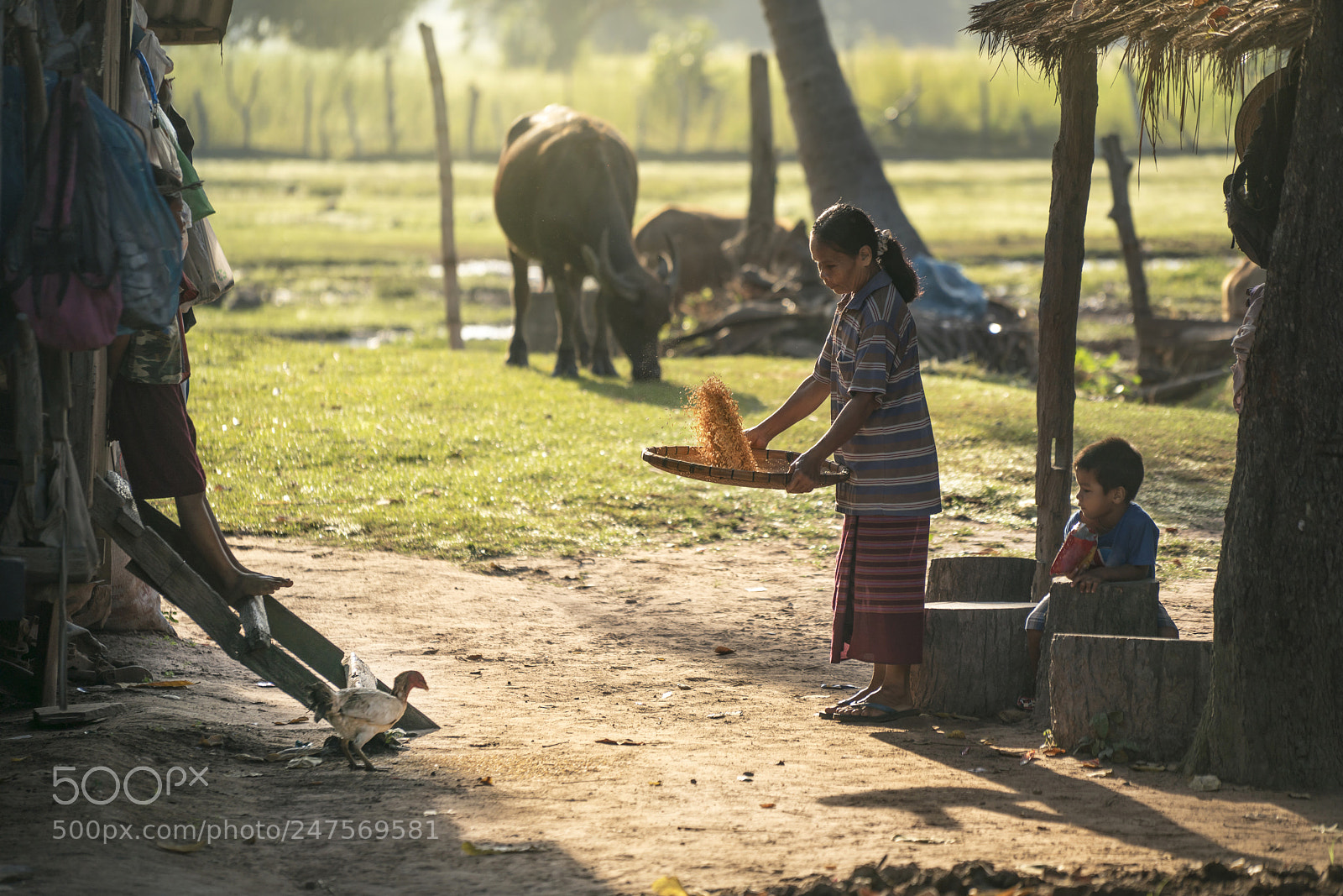 Sony a7R II sample photo. Life photography