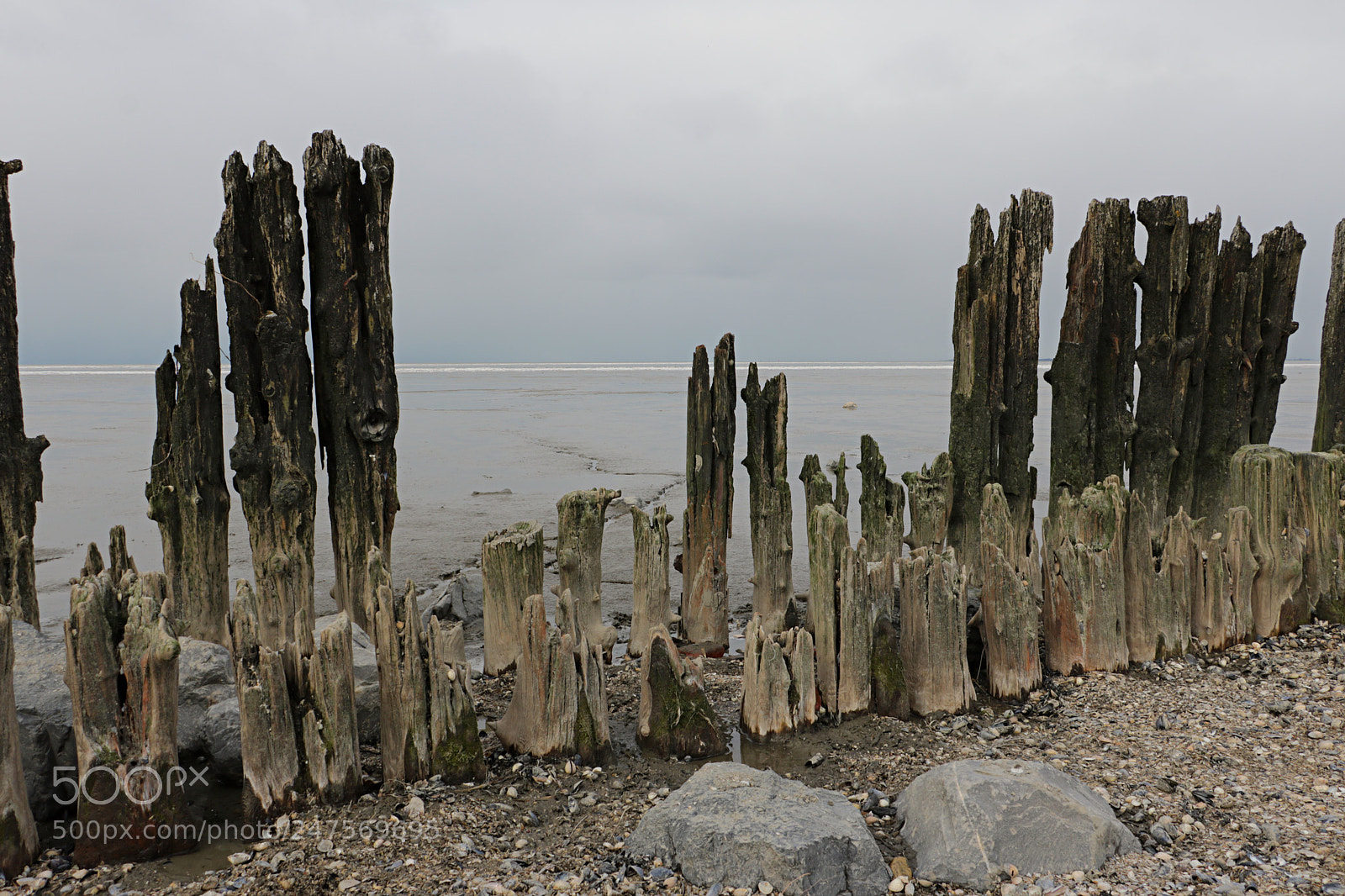 Canon EOS 760D (EOS Rebel T6s / EOS 8000D) sample photo. Cold winter in friesland photography