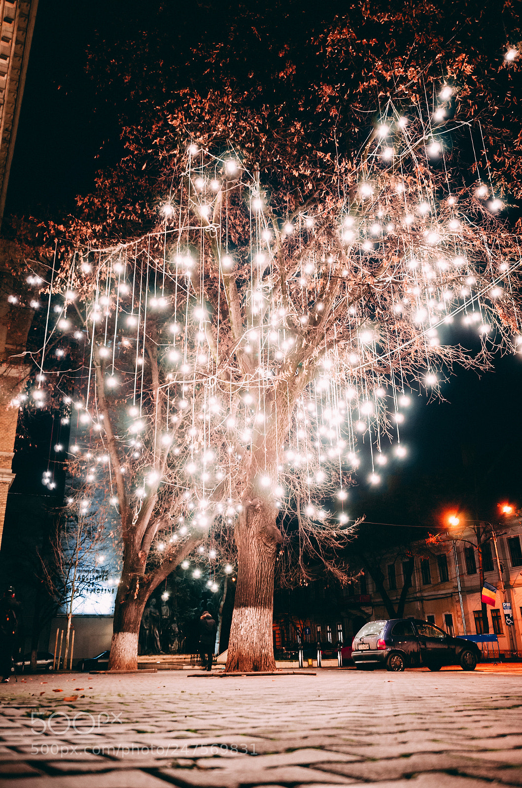 Nikon D5100 sample photo. Light photography