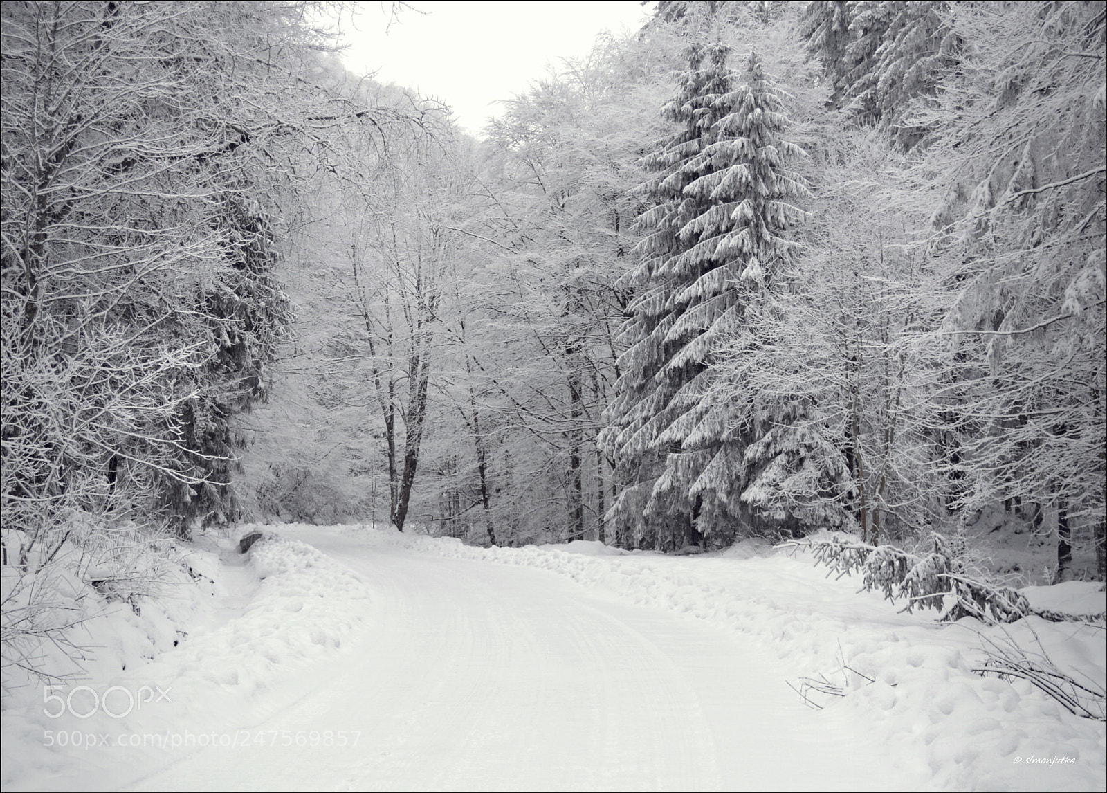 Nikon D3100 sample photo. Snowy road photography