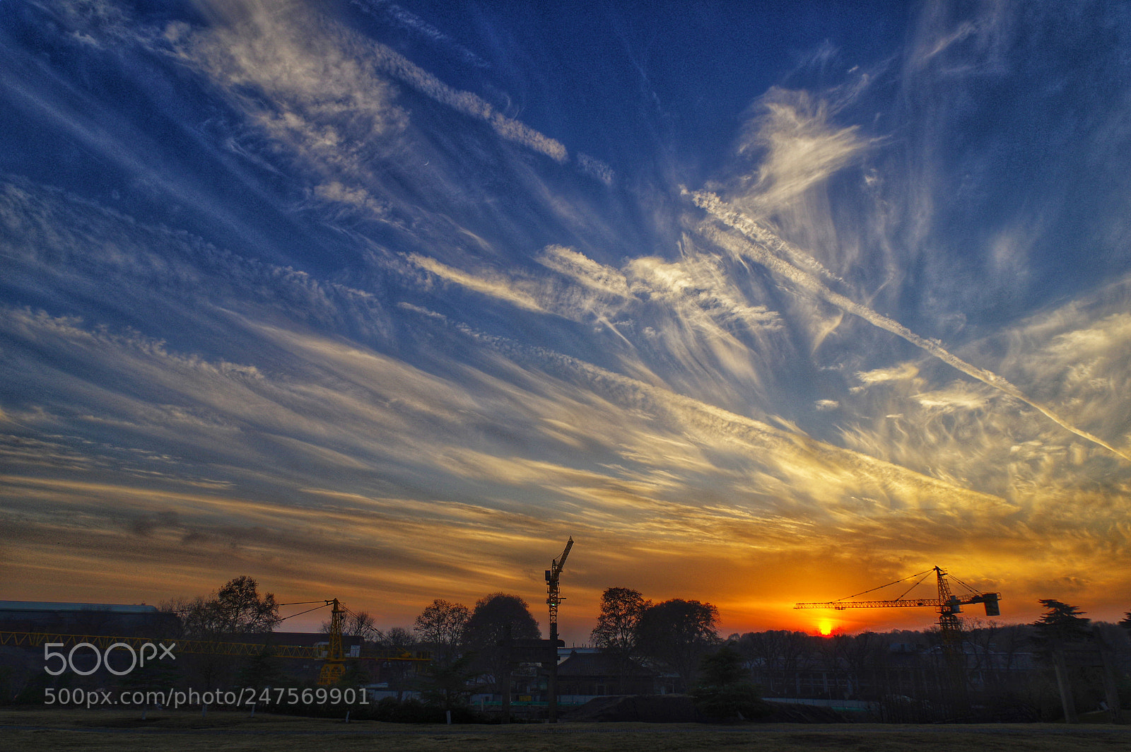 Pentax K-3 II sample photo. Untitled photography