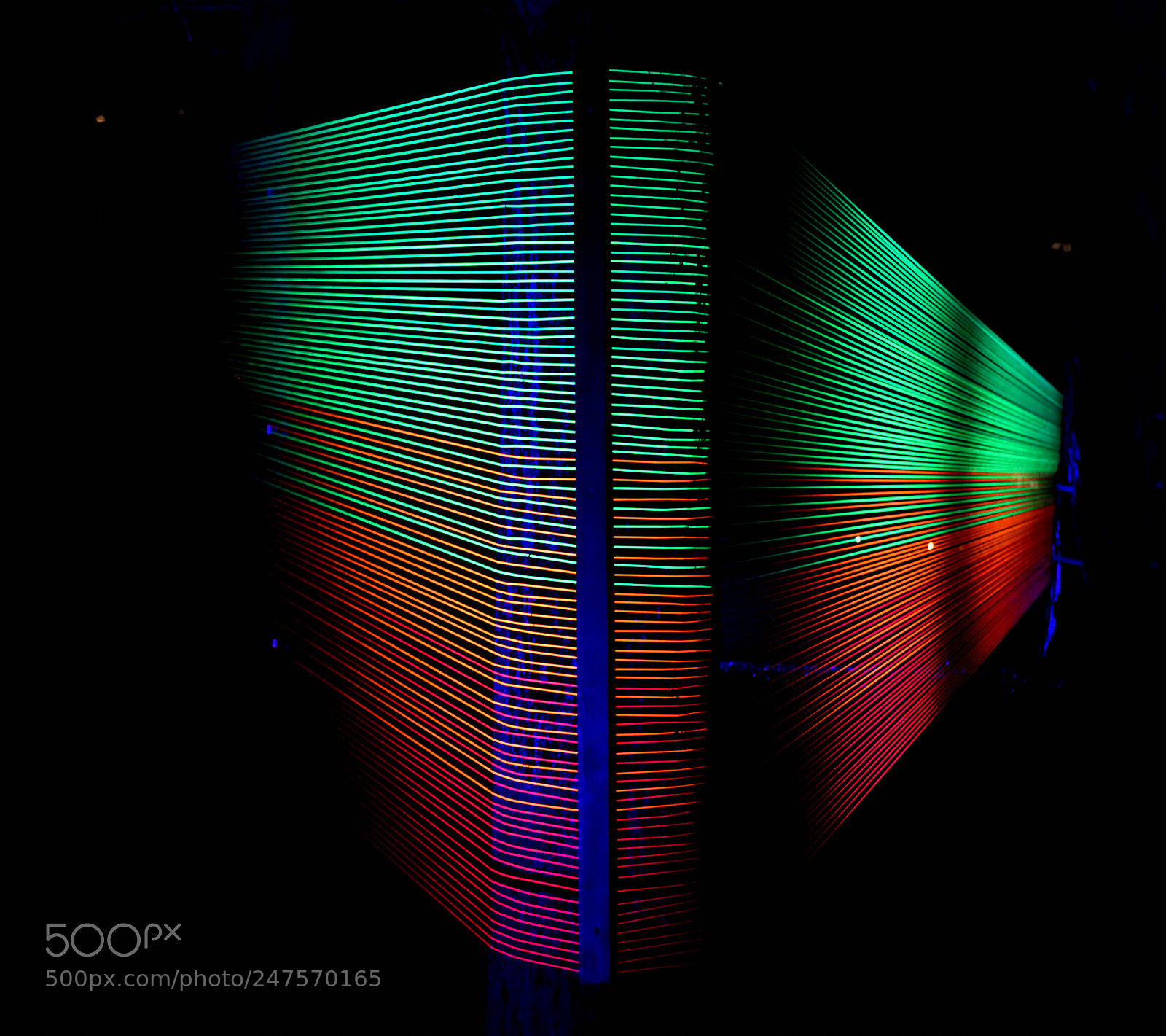 Nikon D3400 sample photo. Light on the wire photography
