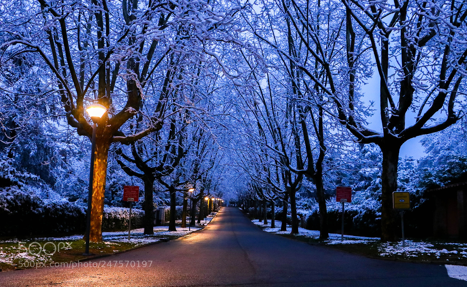 Canon EOS 80D sample photo. Snow in c te photography