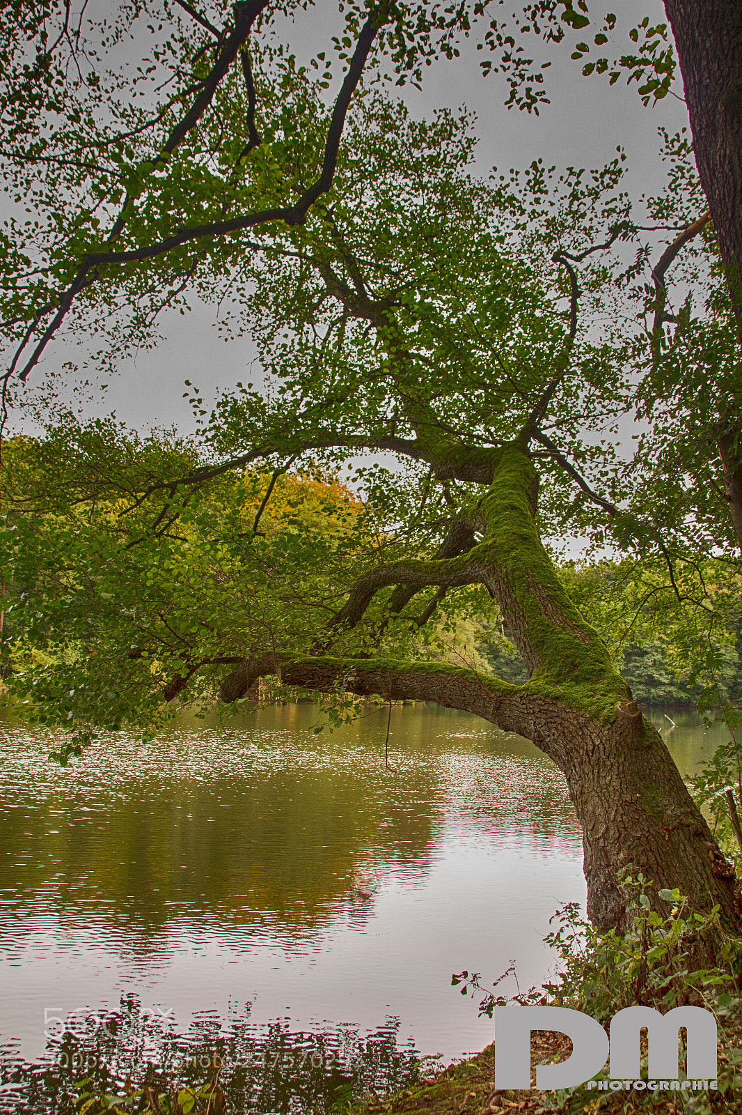 Canon EOS 700D (EOS Rebel T5i / EOS Kiss X7i) sample photo. At the chateau dammsm photography