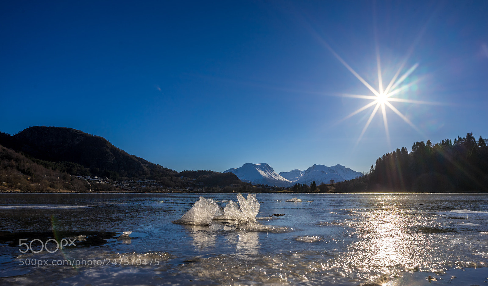 Sony a7 II sample photo. Winter sun ii photography
