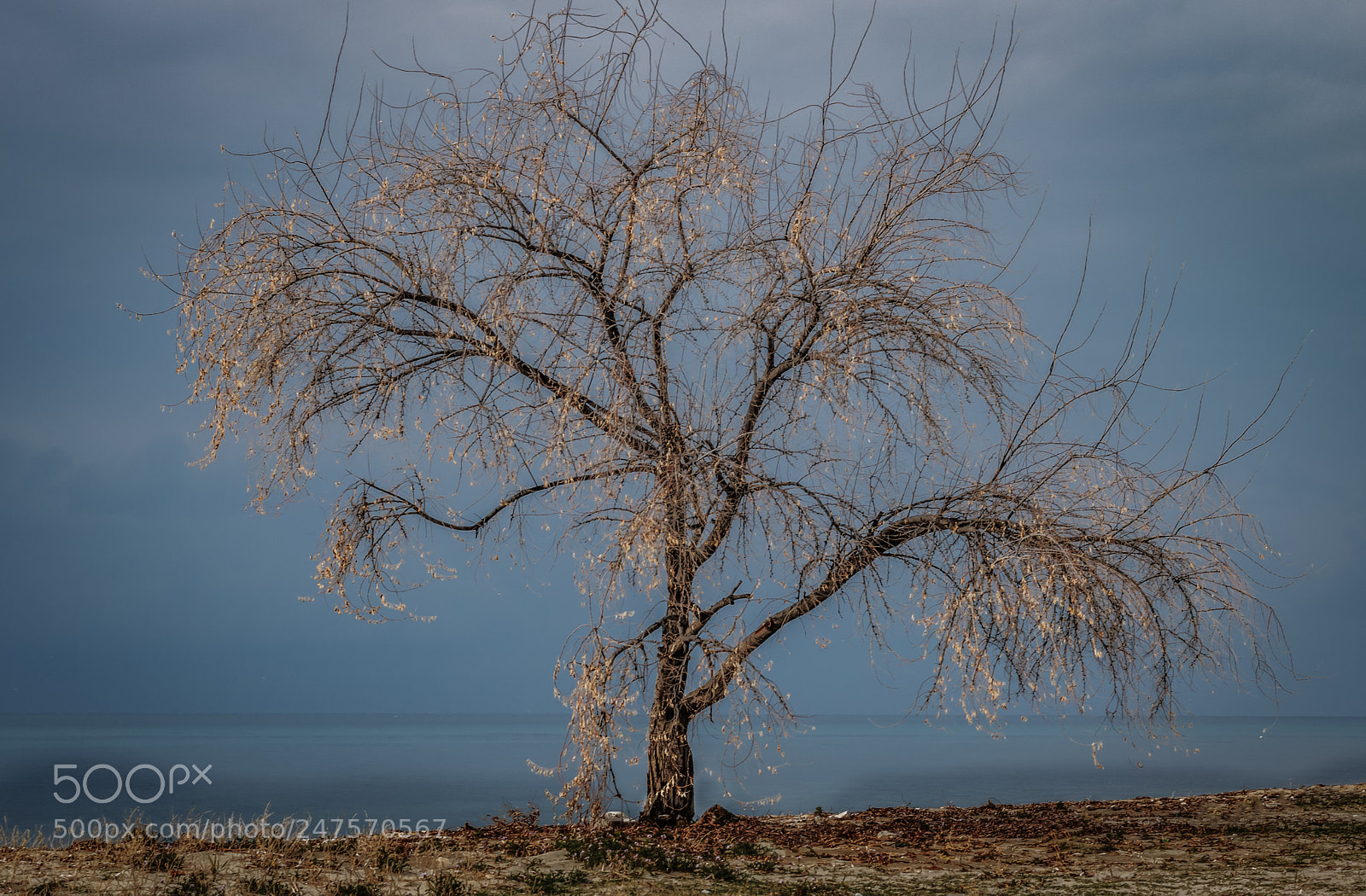 Canon EOS 750D (EOS Rebel T6i / EOS Kiss X8i) sample photo. By the sea photography