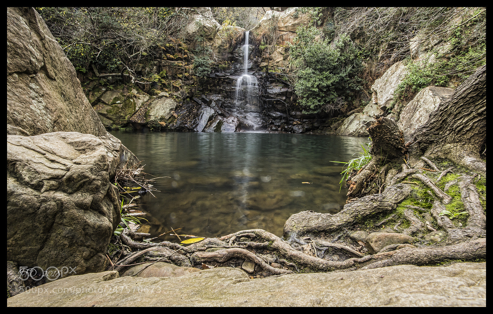 Canon EOS 60D sample photo. Img photography