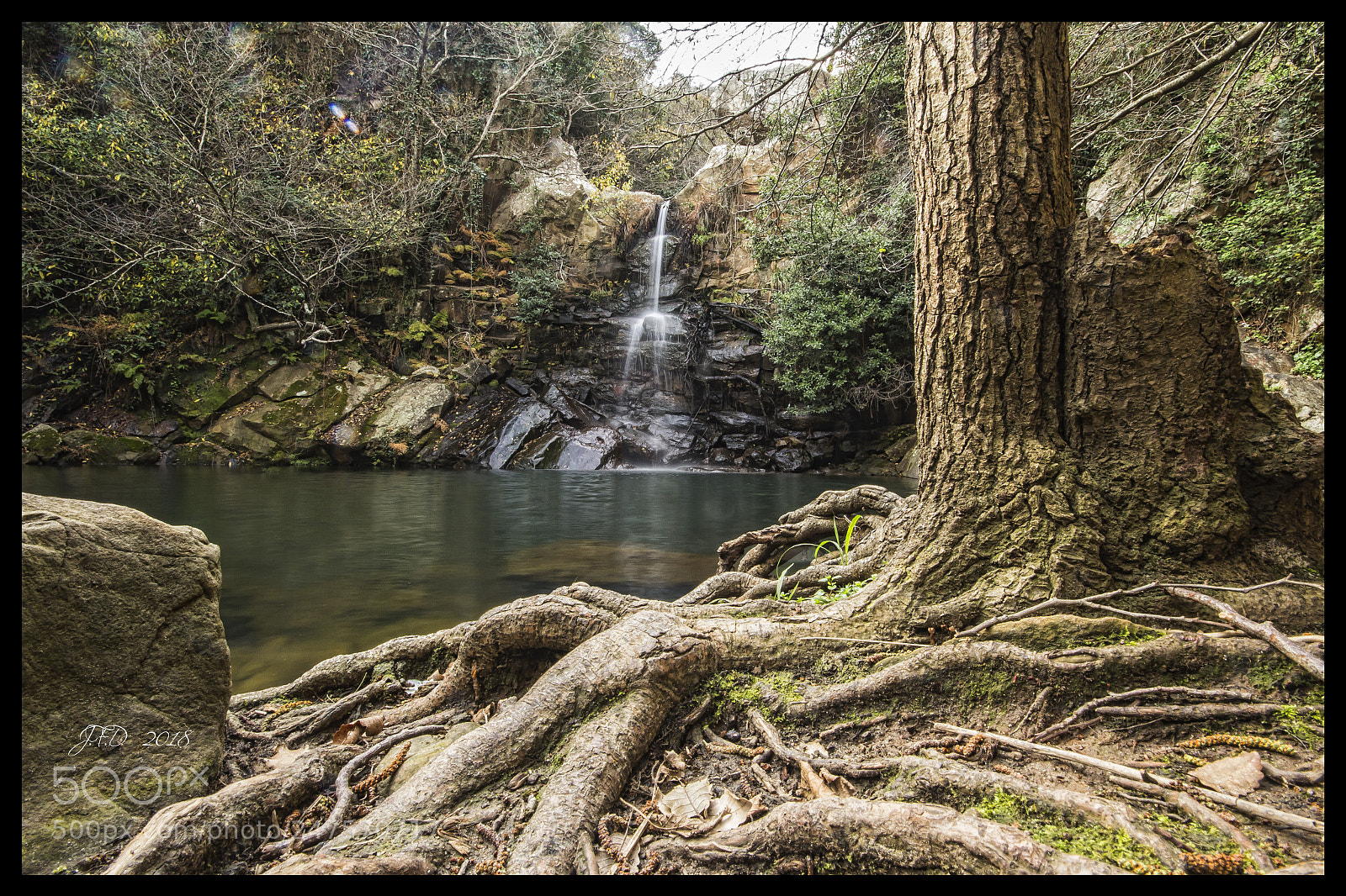 Canon EOS 60D sample photo. Img photography