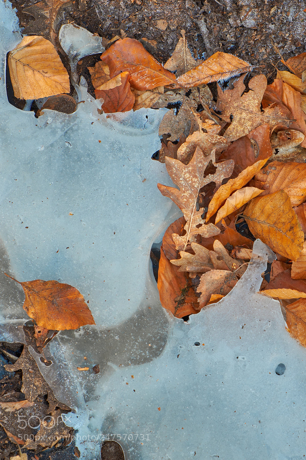 Fujifilm X-T20 sample photo. The ice river photography